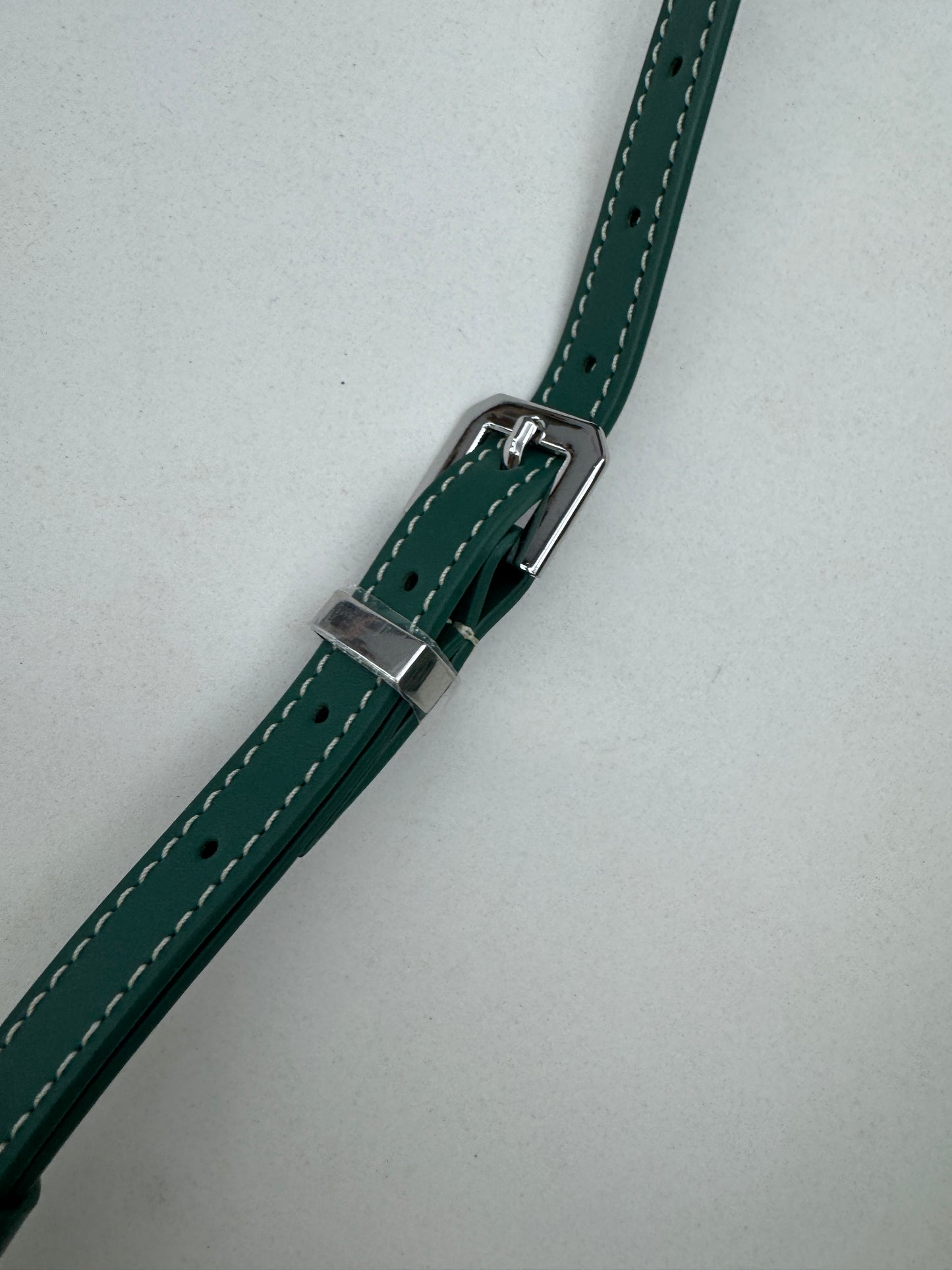 GOYARD Cap-vert 相機包 綠色