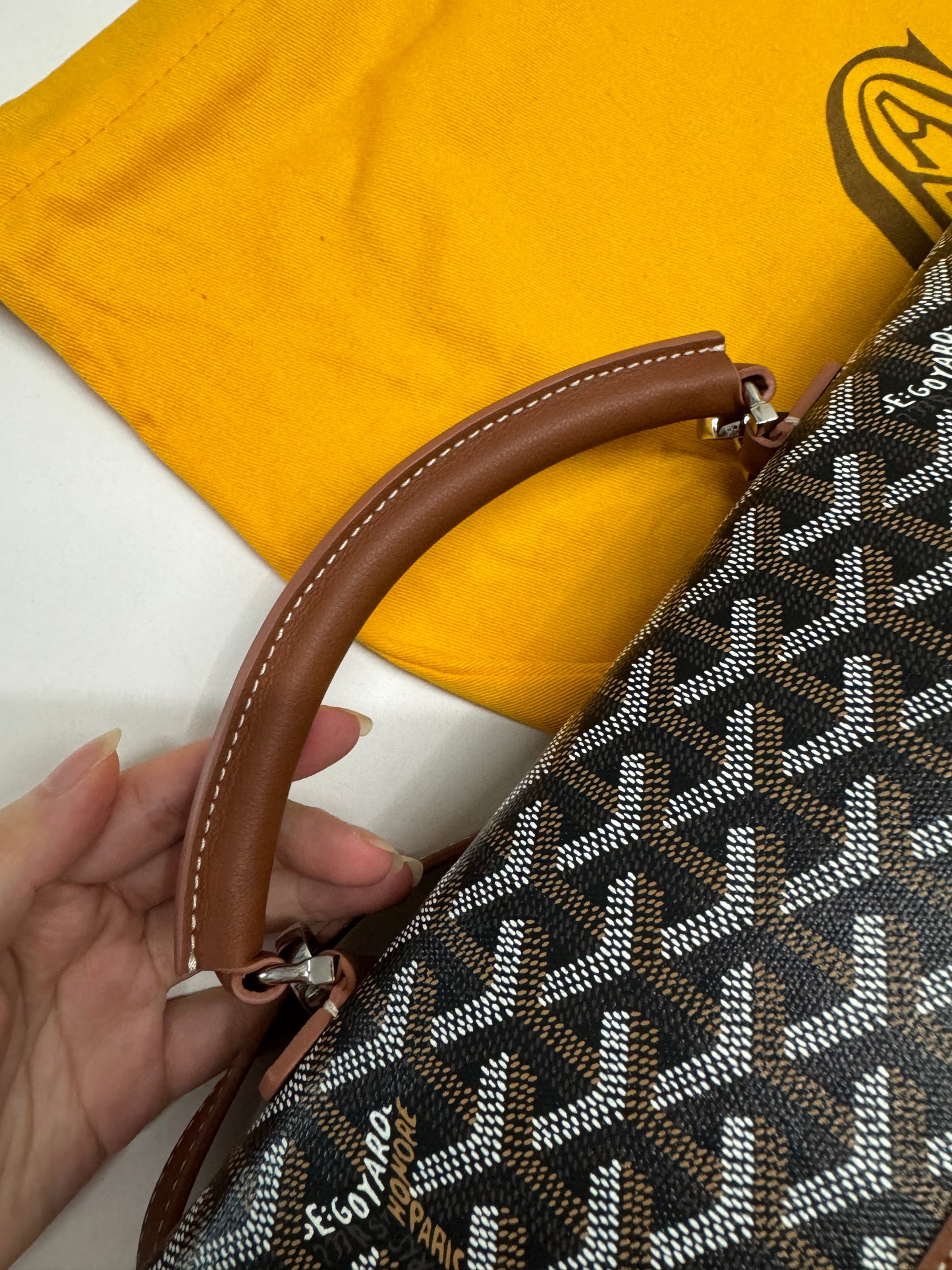 GOYARD Saint Leger 背包