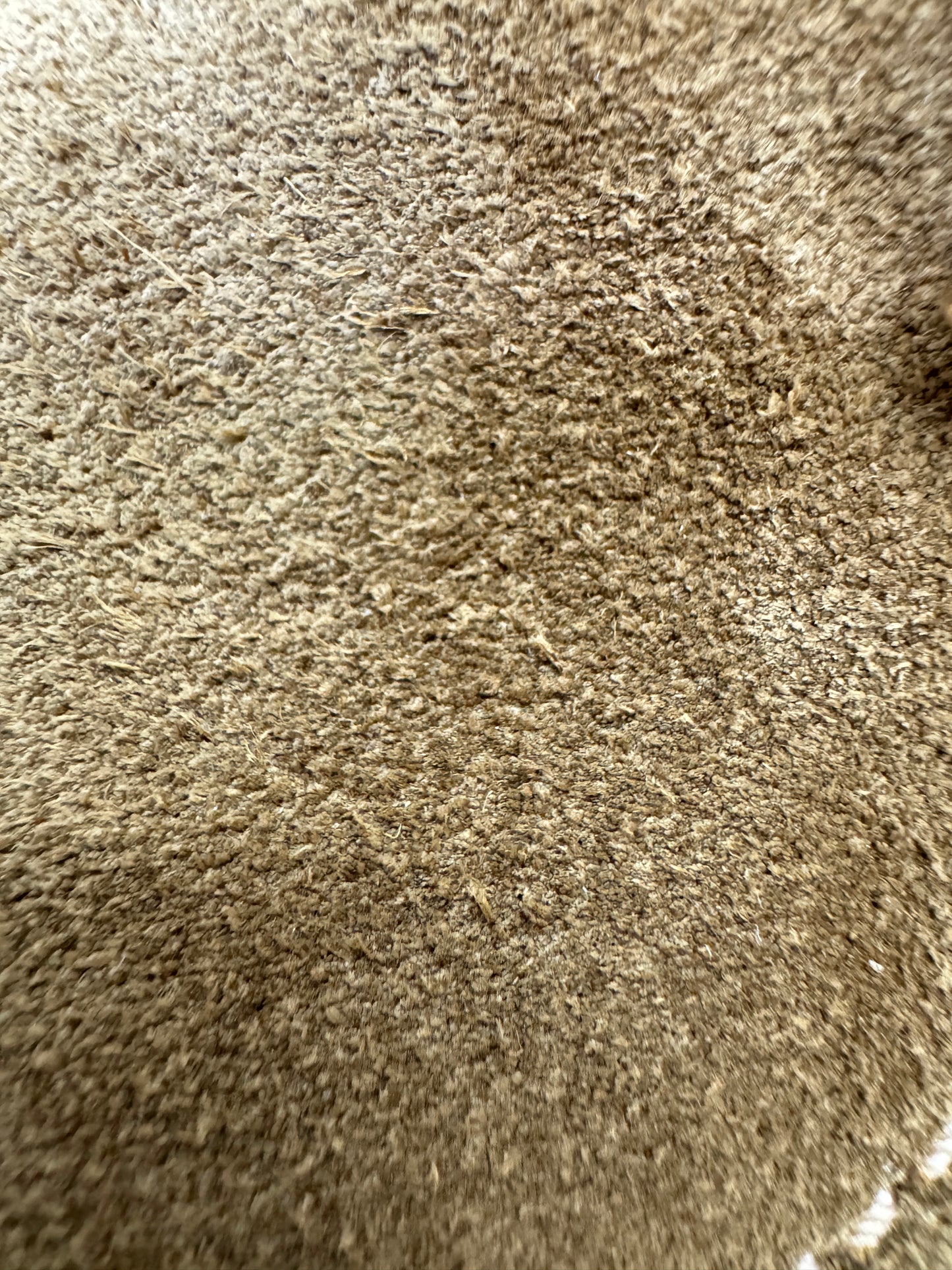 CHANEL 26C 拼色麂皮鏈條休閒鞋