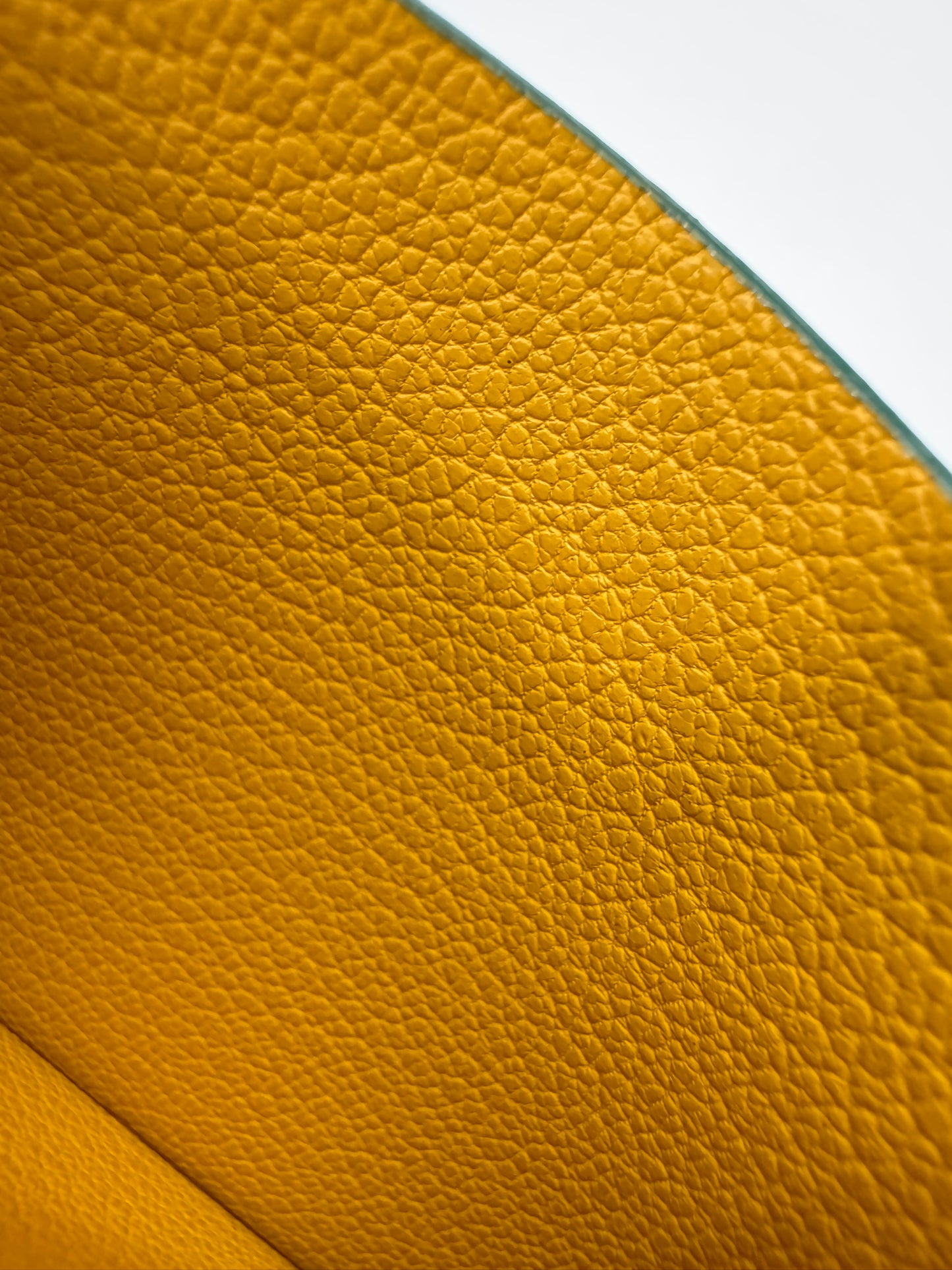 GOYARD Cardholder 綠色