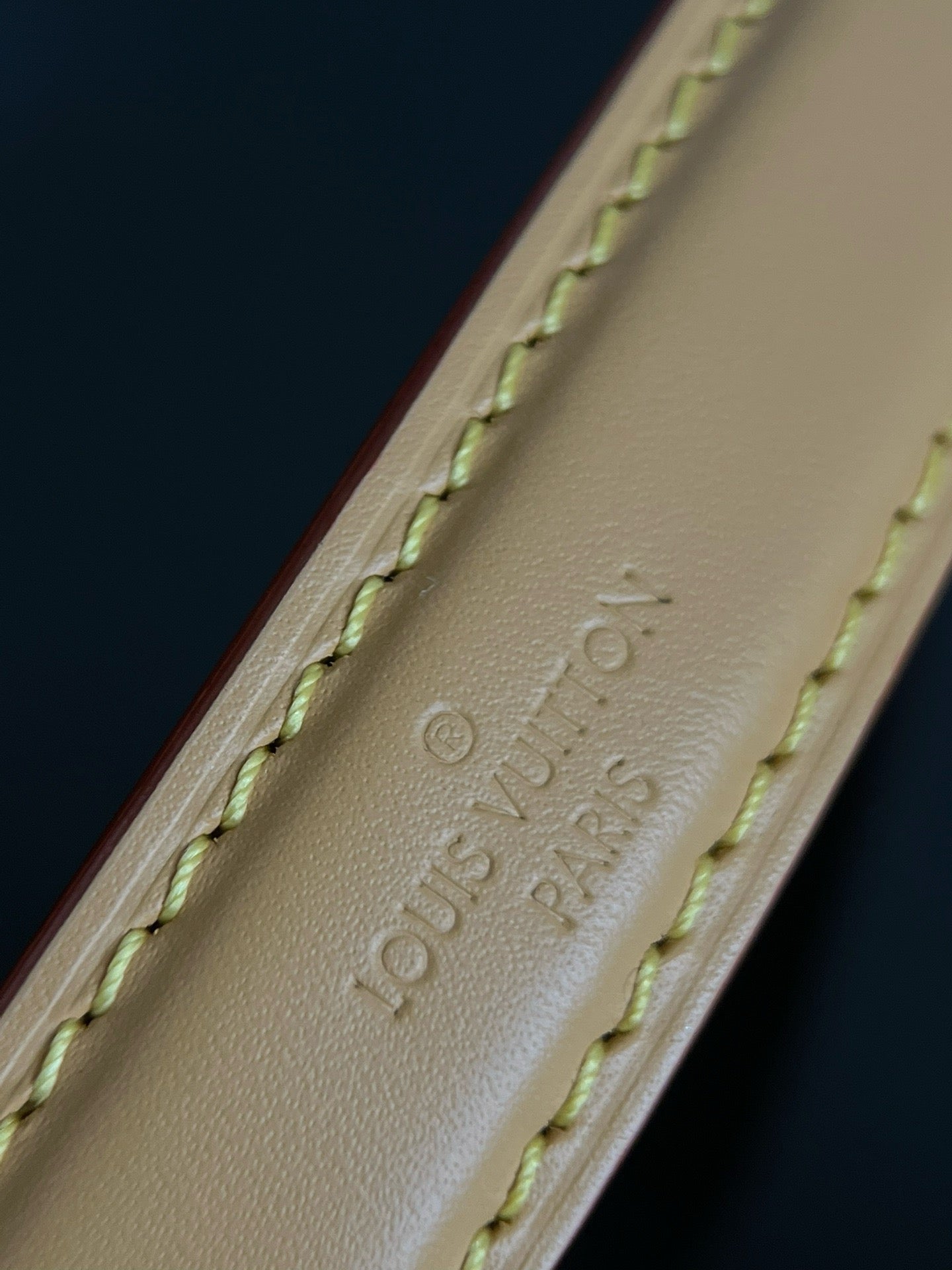 LV Nano Diane