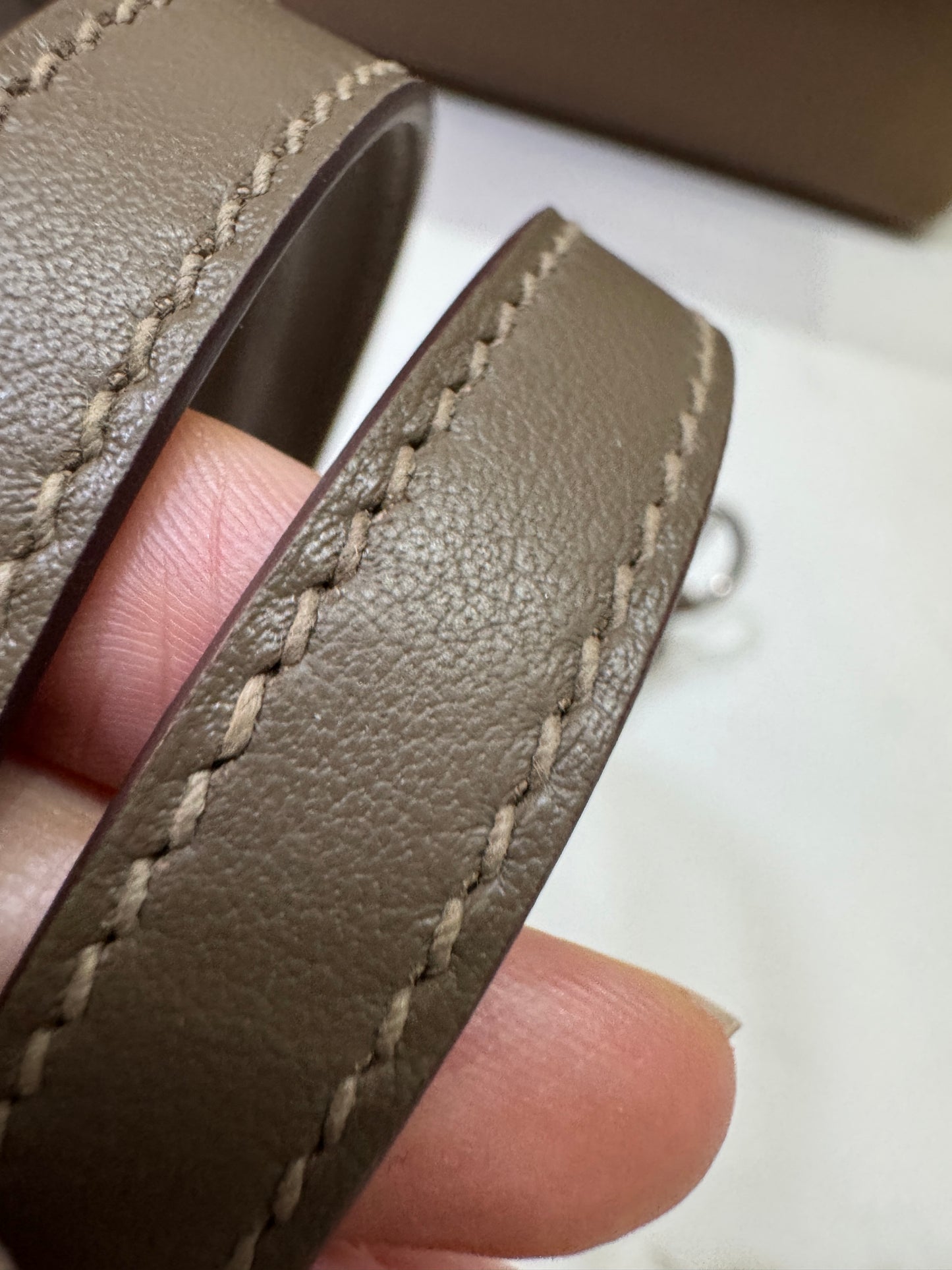 HERMES Mini 2424 威馬犬色 D0 Evercolor PHW