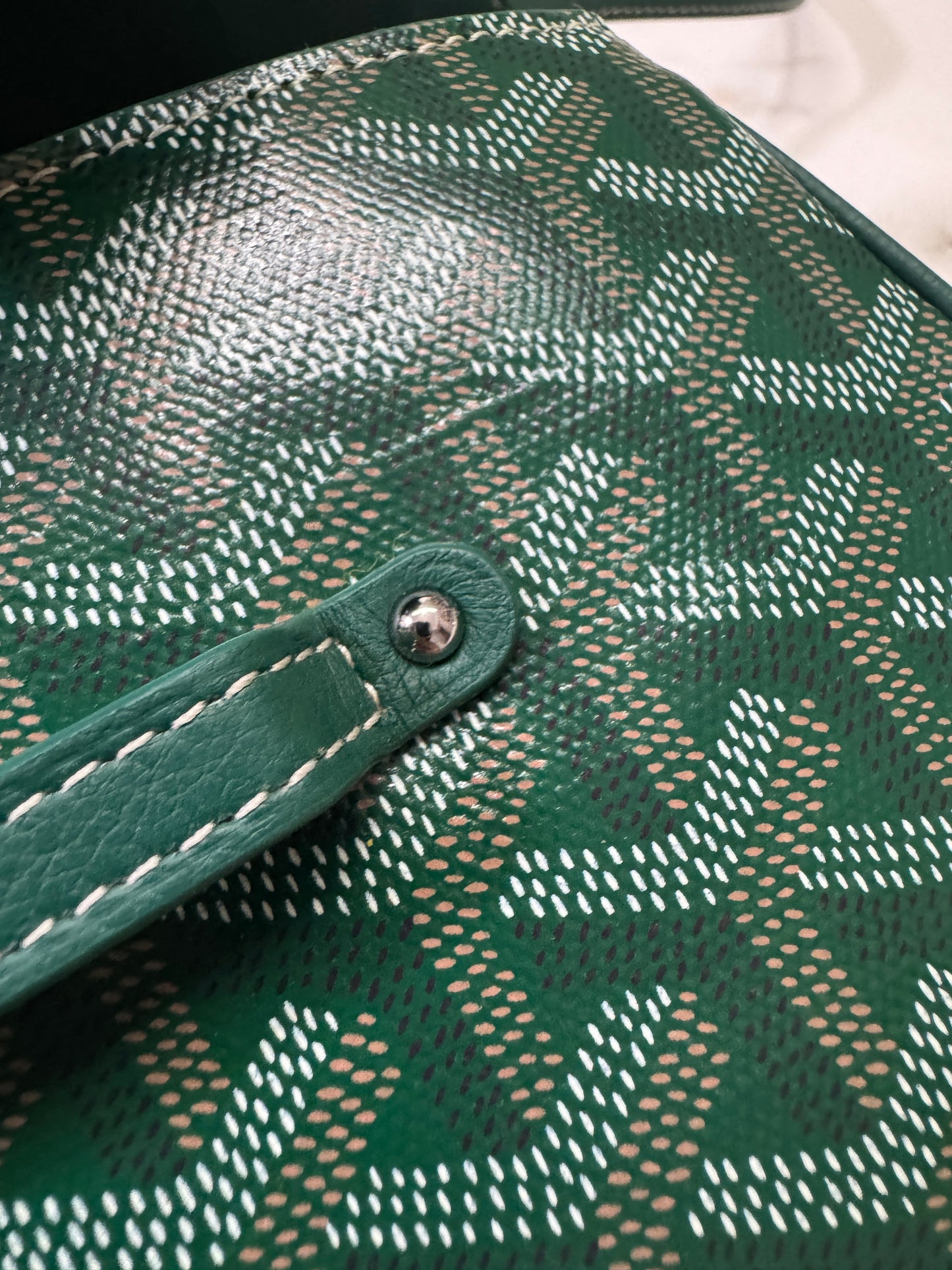 GOYARD Soft Saigon Souple Mini Green