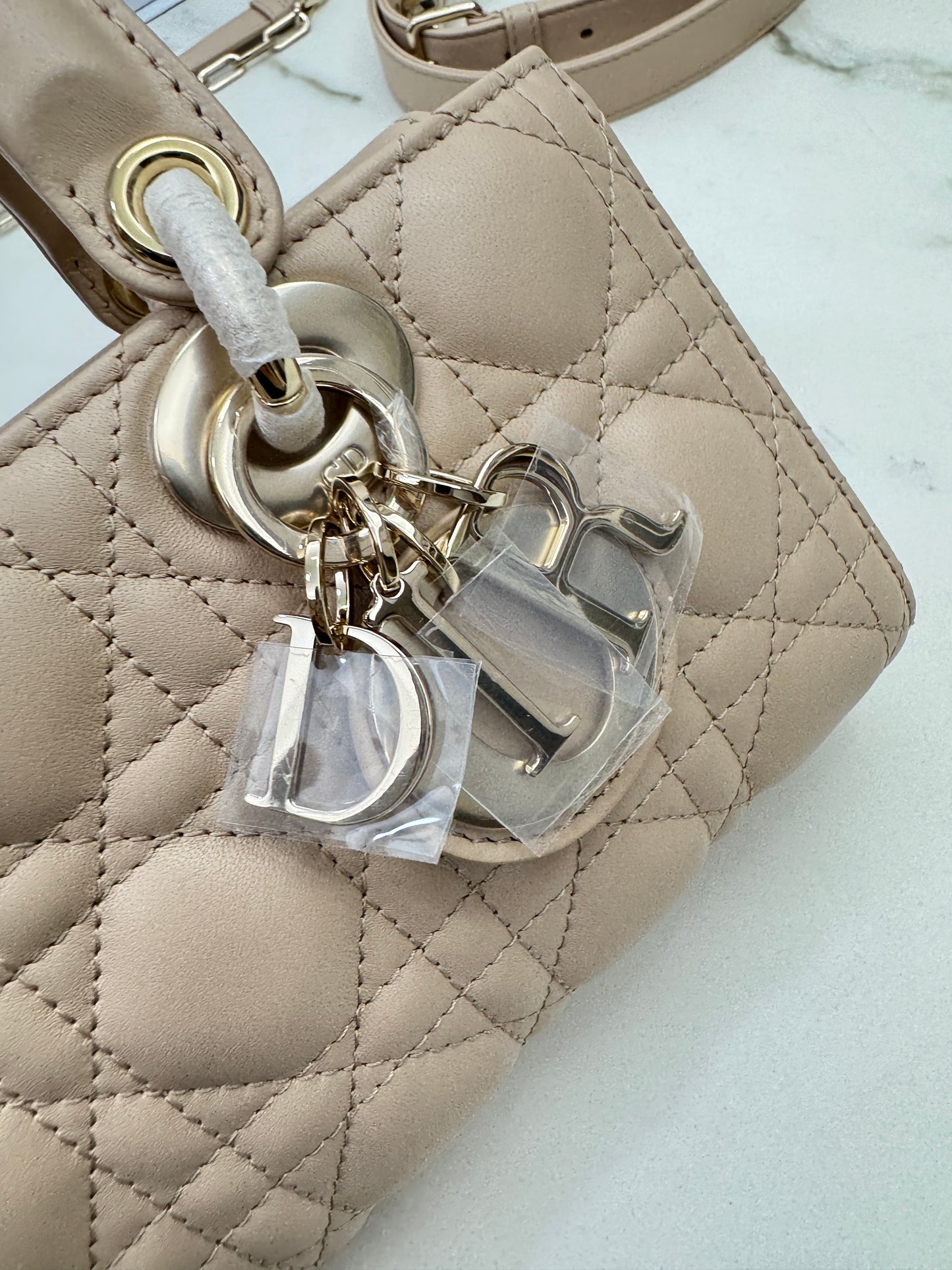 DIOR D-Joy Small 胭脂米 Powder Beige￼