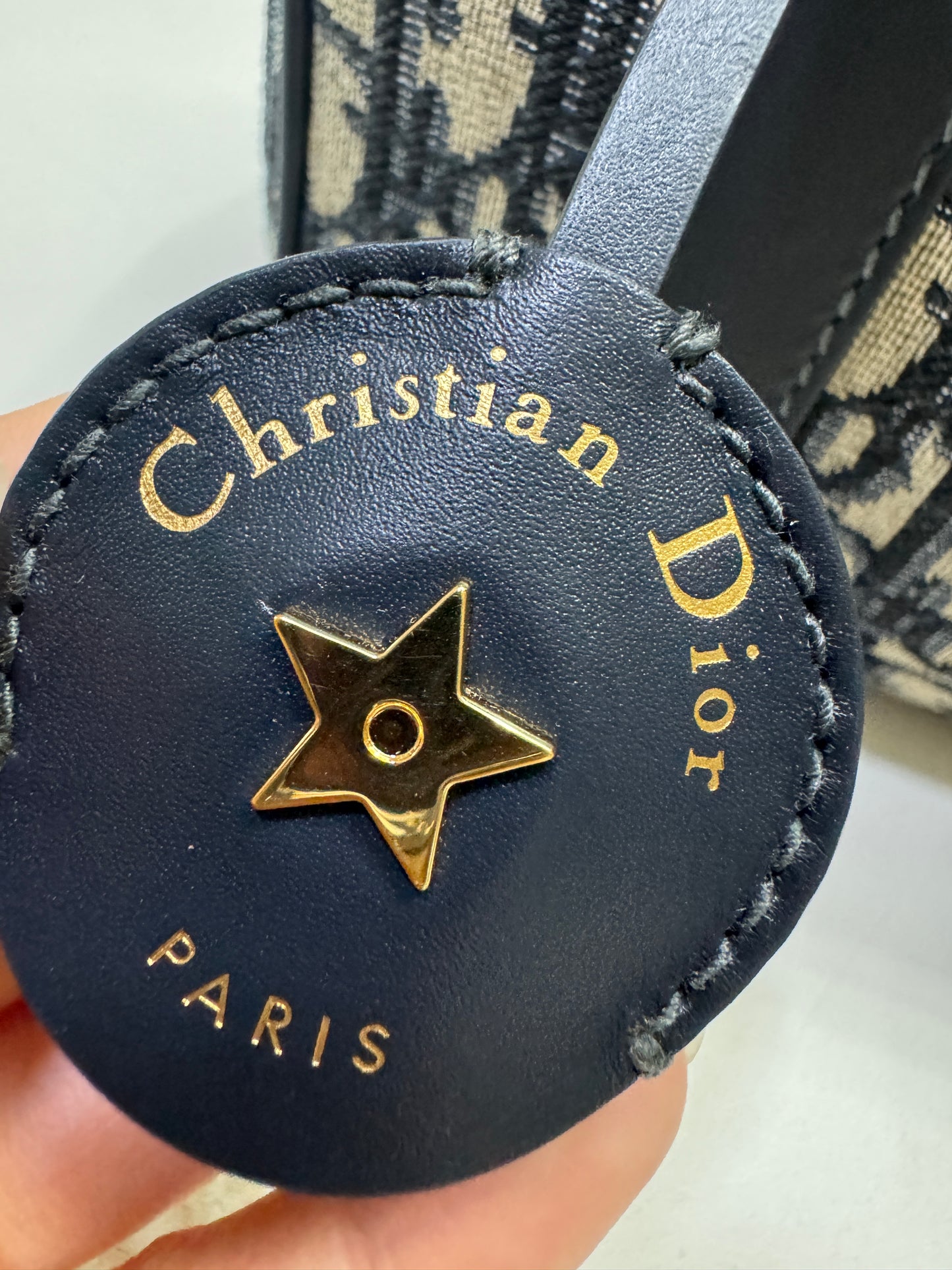 DIOR Groove 20cm 小號
