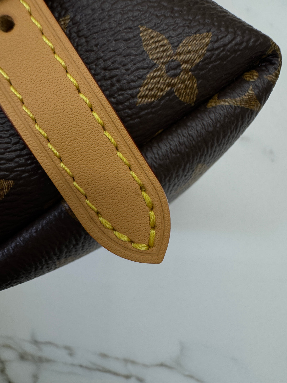 LV Nano Carryall