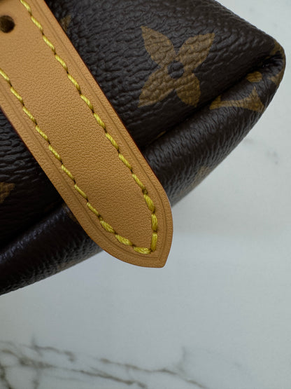 LV Nano Carryall
