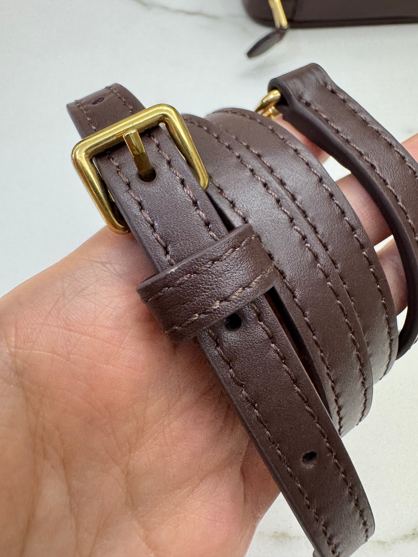 MIU MIU Acardie Regular 石楠木色
