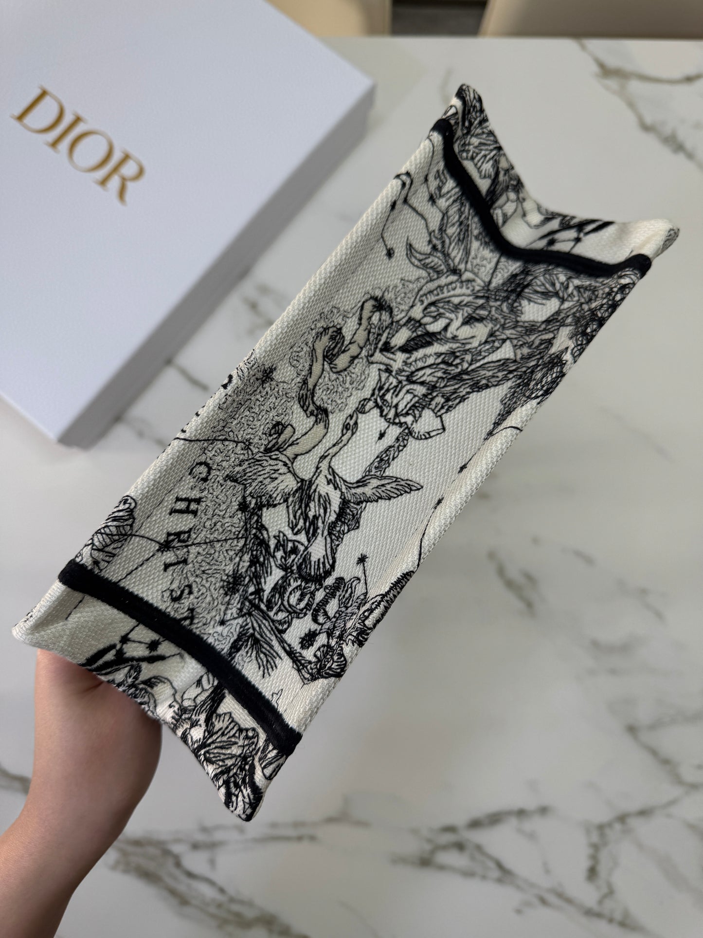 DIOR Book Tote Small 星座系列