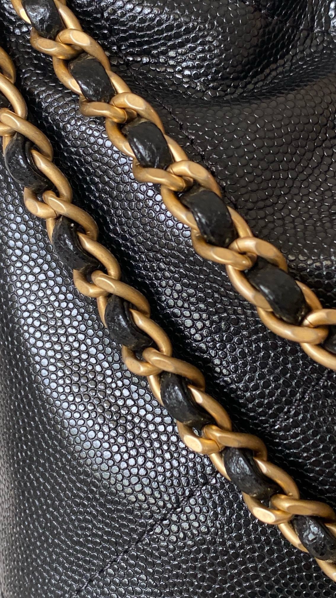 CHANEL Mini 22 Bag 荔枝牛皮