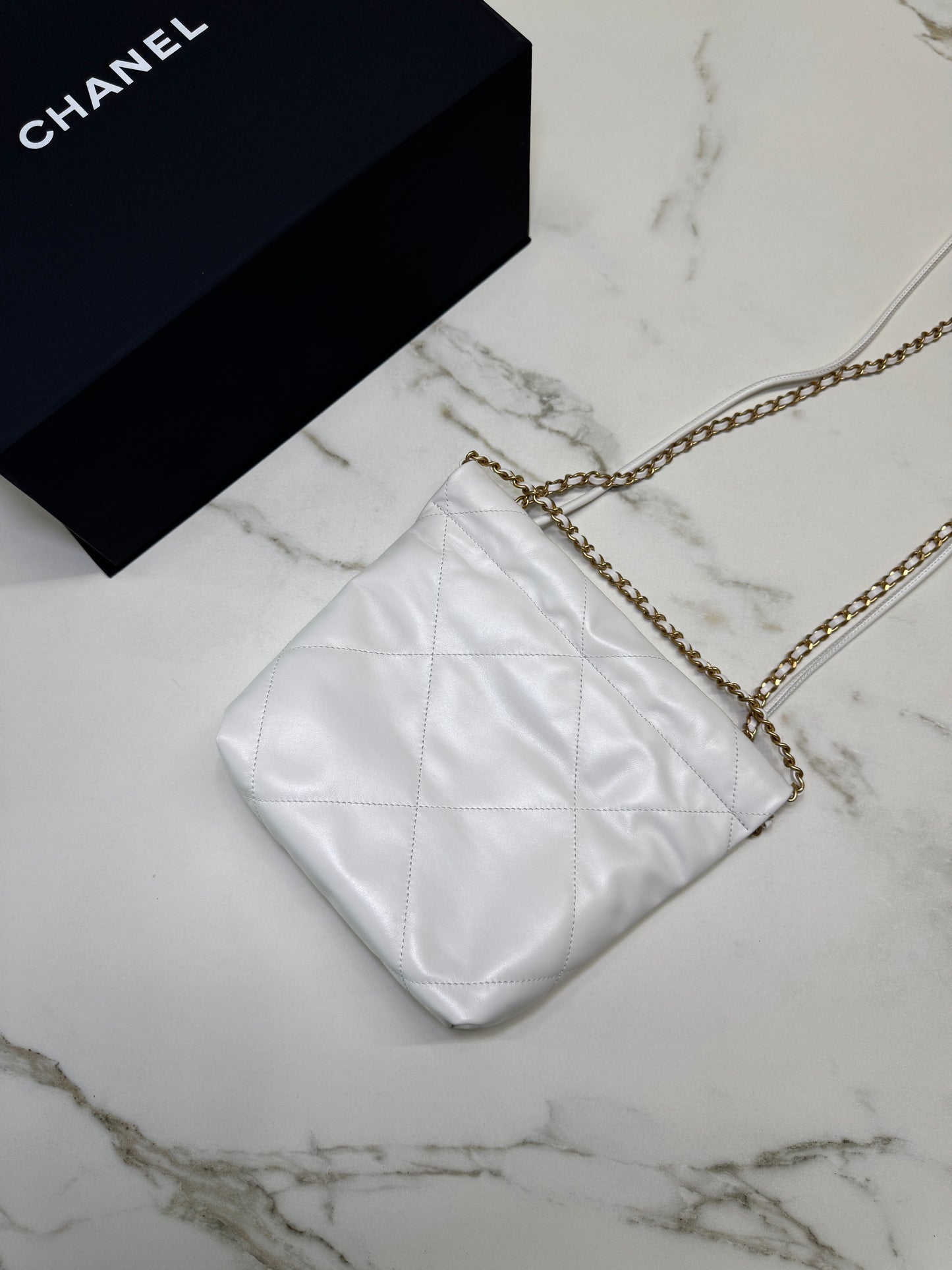 CHANEL Mini 22 Bag 白金