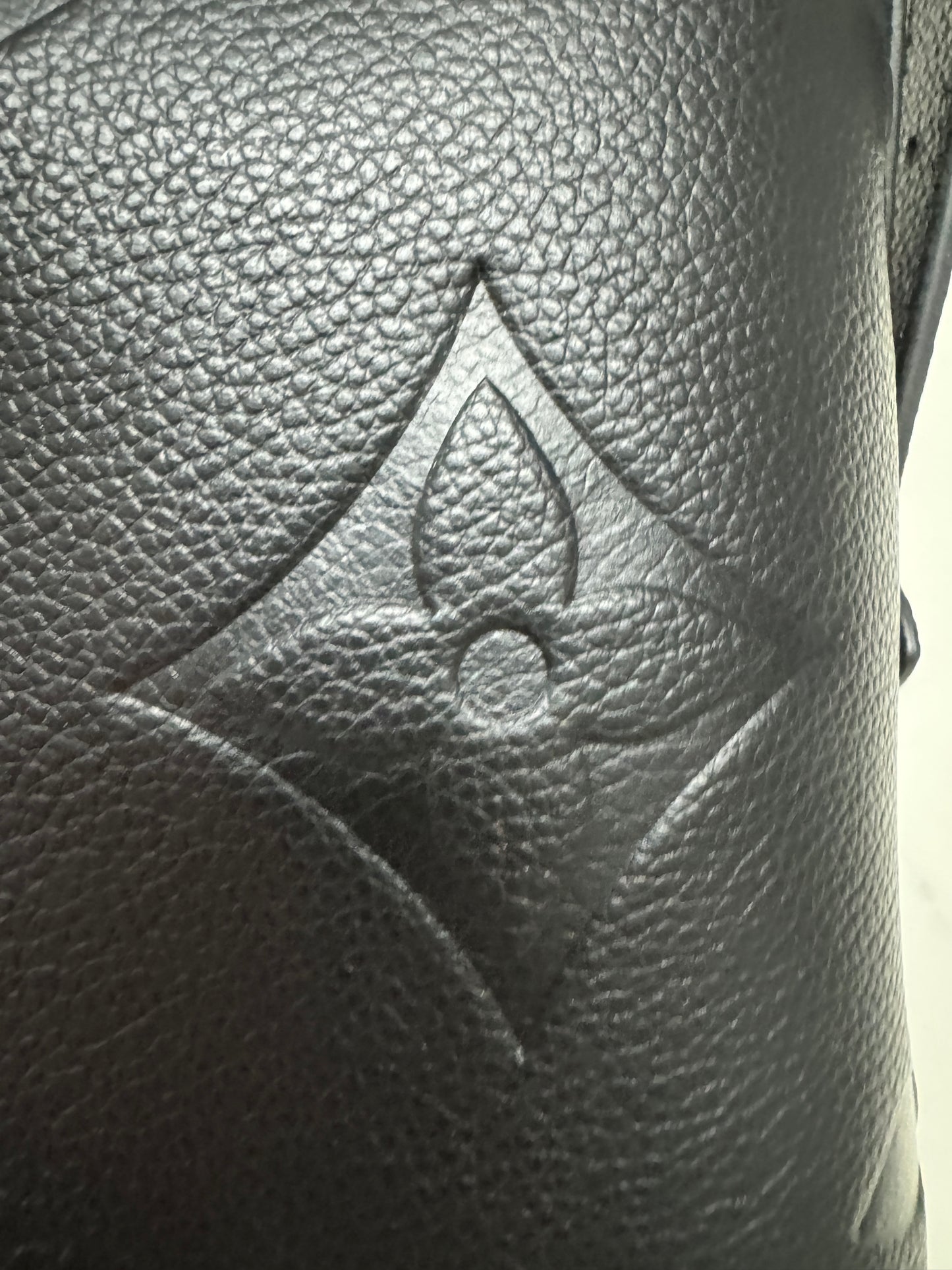LV Carryall 全皮黑 PM