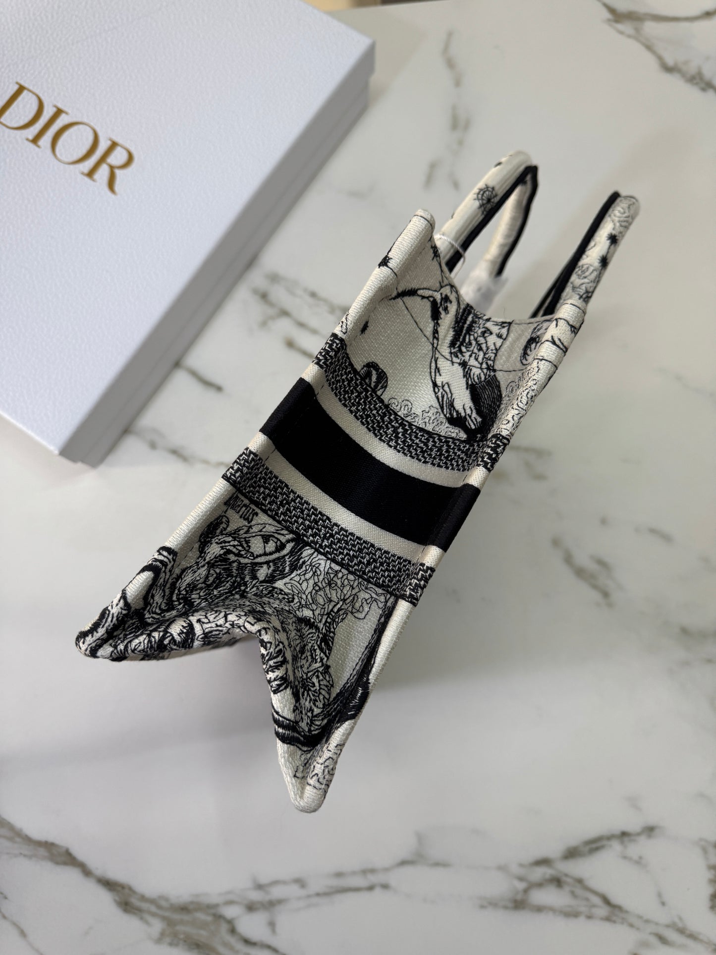 DIOR Book Tote Small 星座系列
