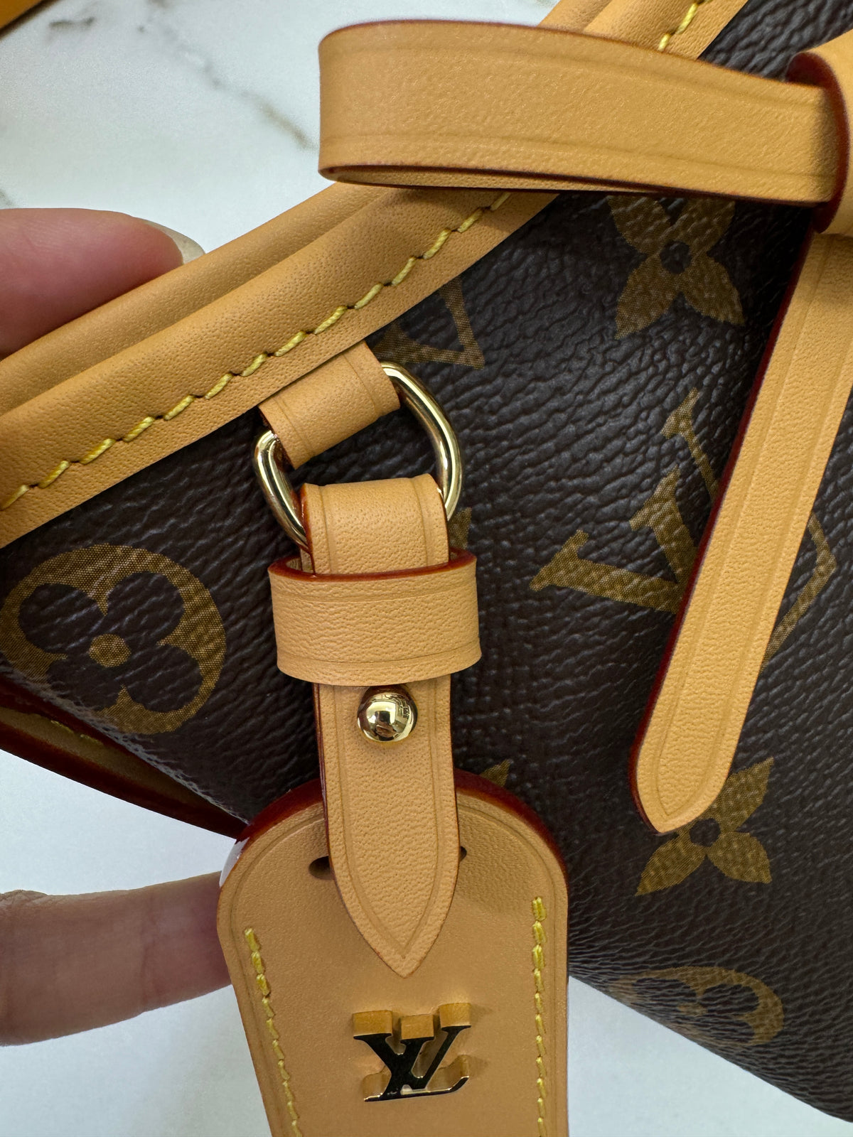 LV Nano Carryall