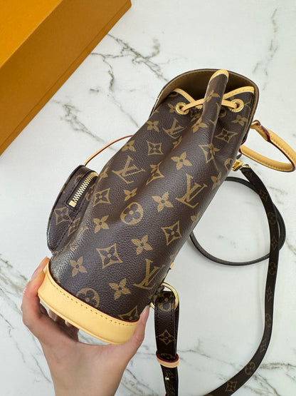 LV Montsouris Monogram PM