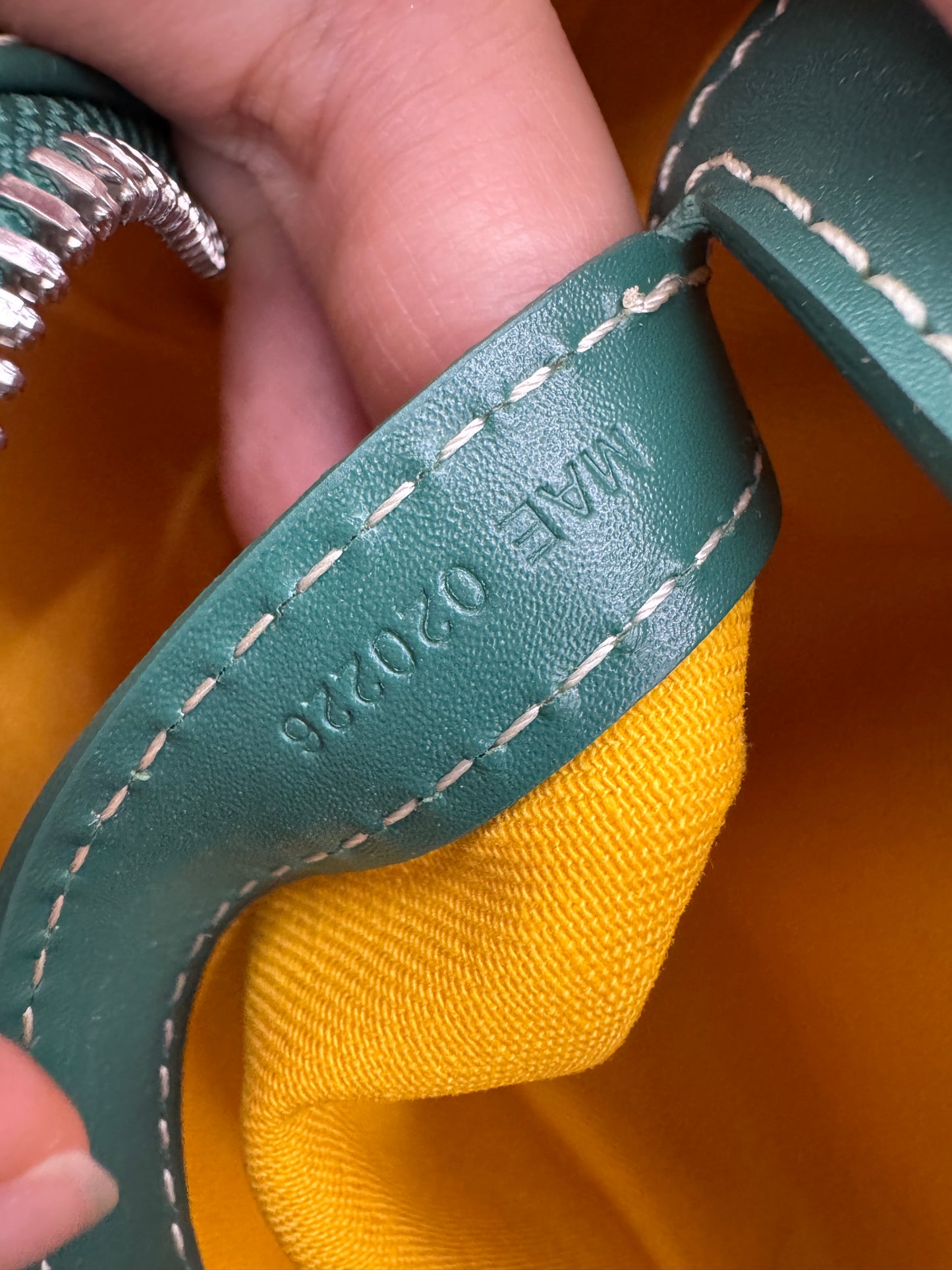 GOYARD Cap-vert 相機包 綠色