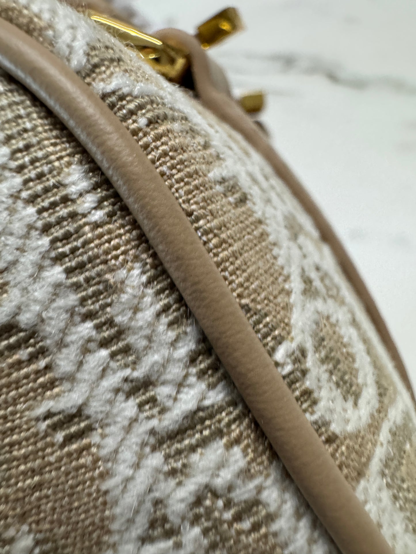 DIOR Groove Mini 奶茶色老花