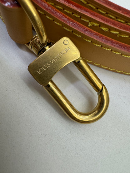 LV Nano Speedy 棋盤格牛仔