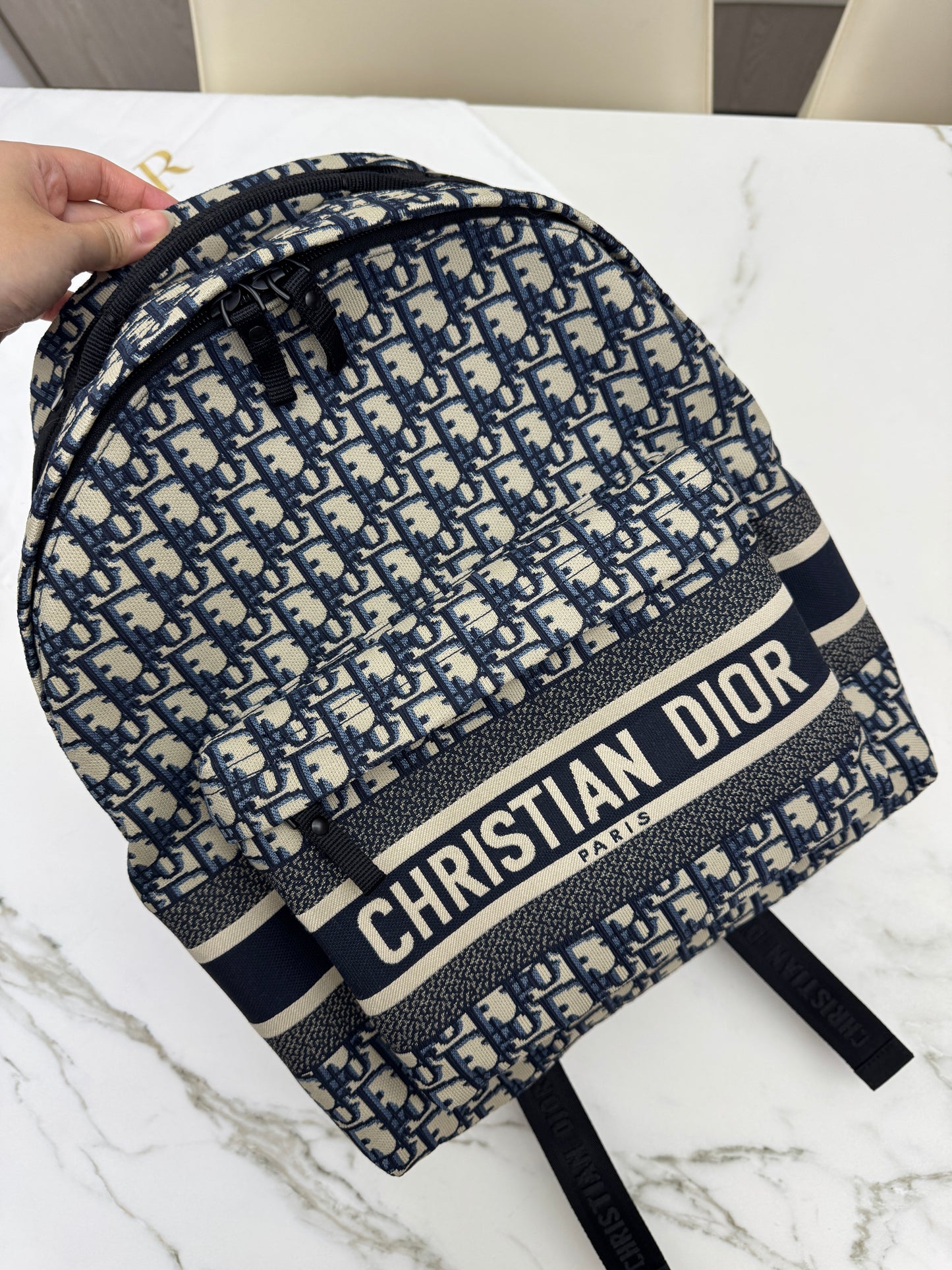 DIOR Diortravel Backpack