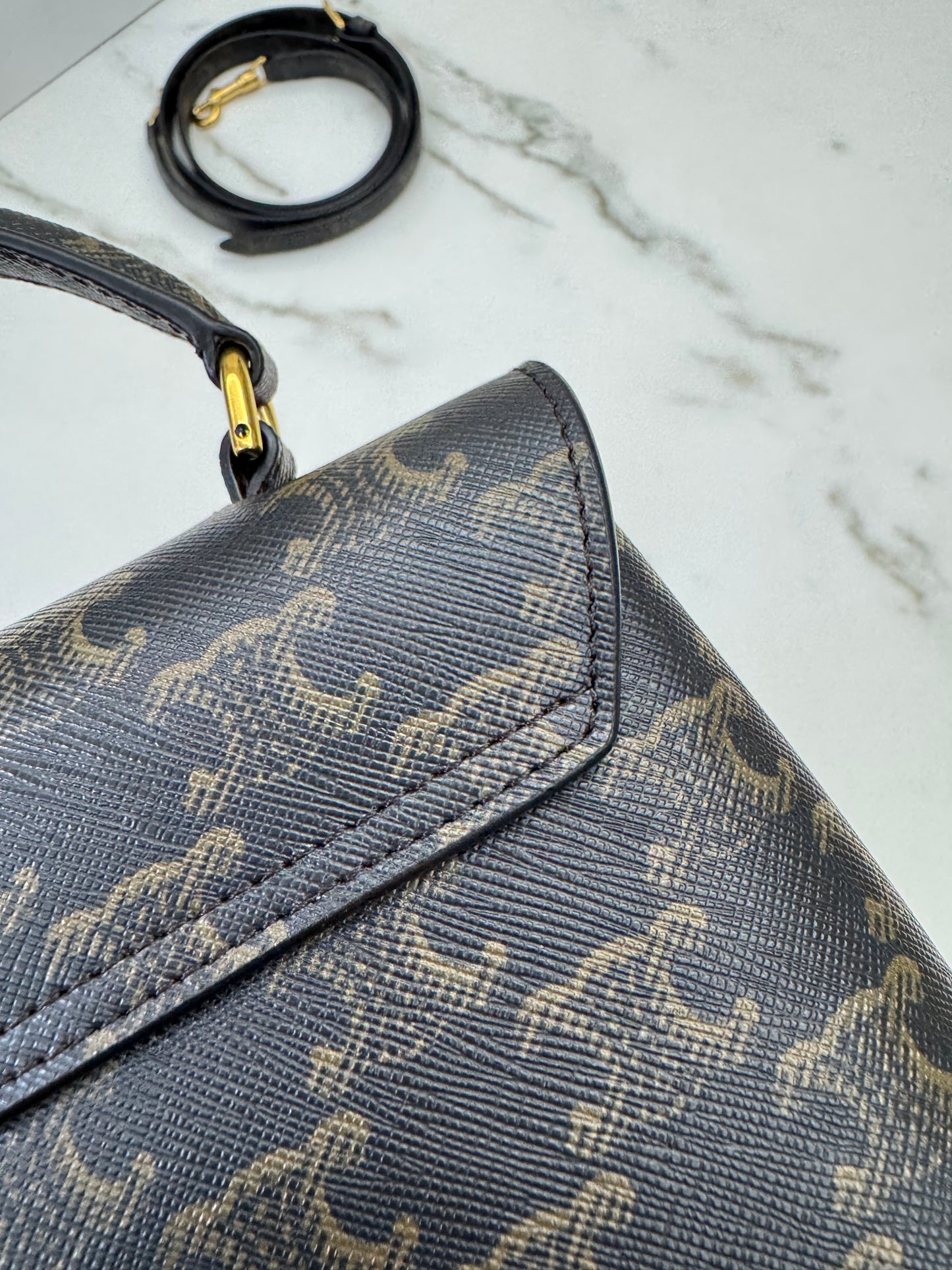 CELINE Teen Nino 老花