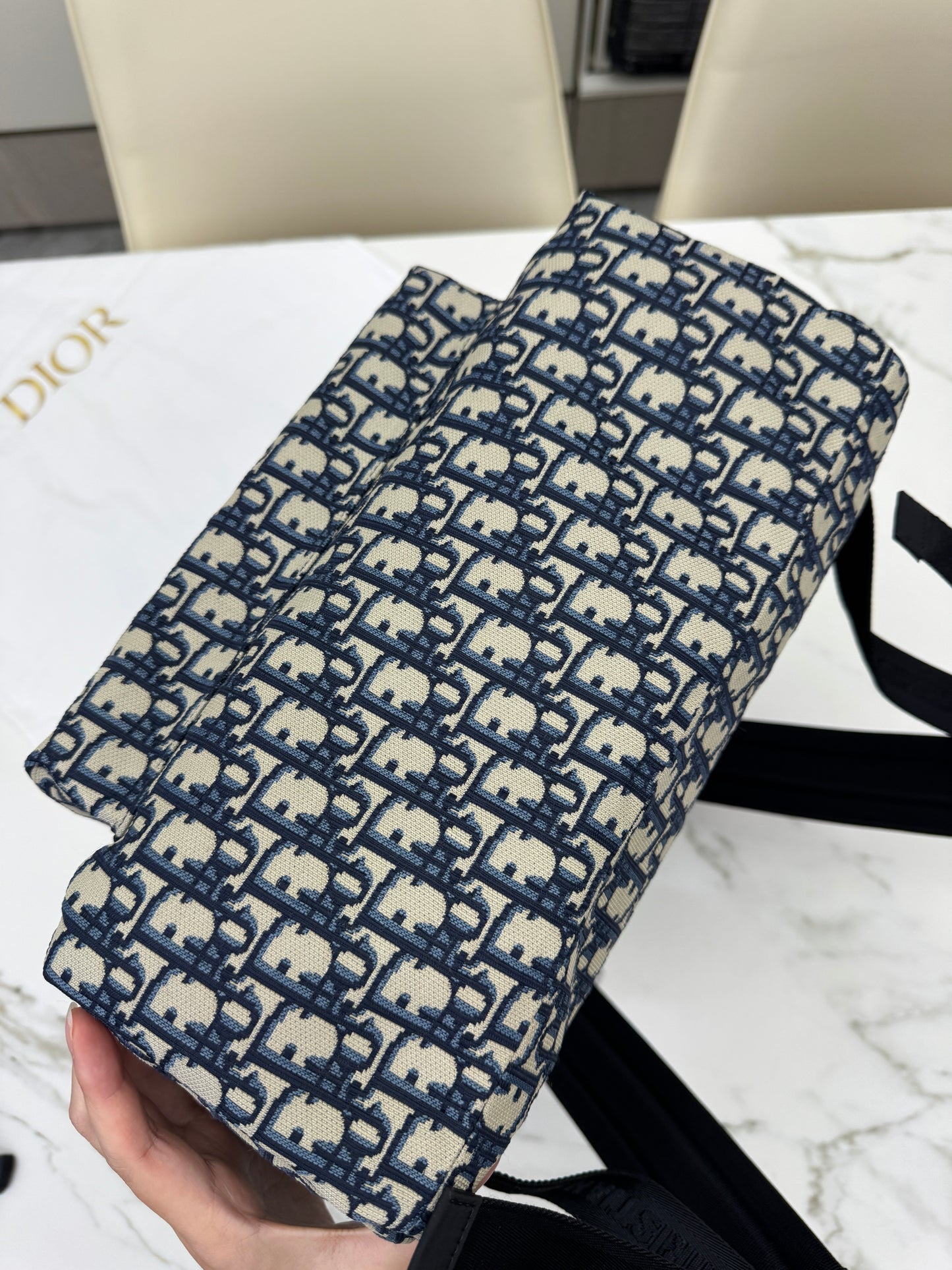 DIOR Diortravel Backpack