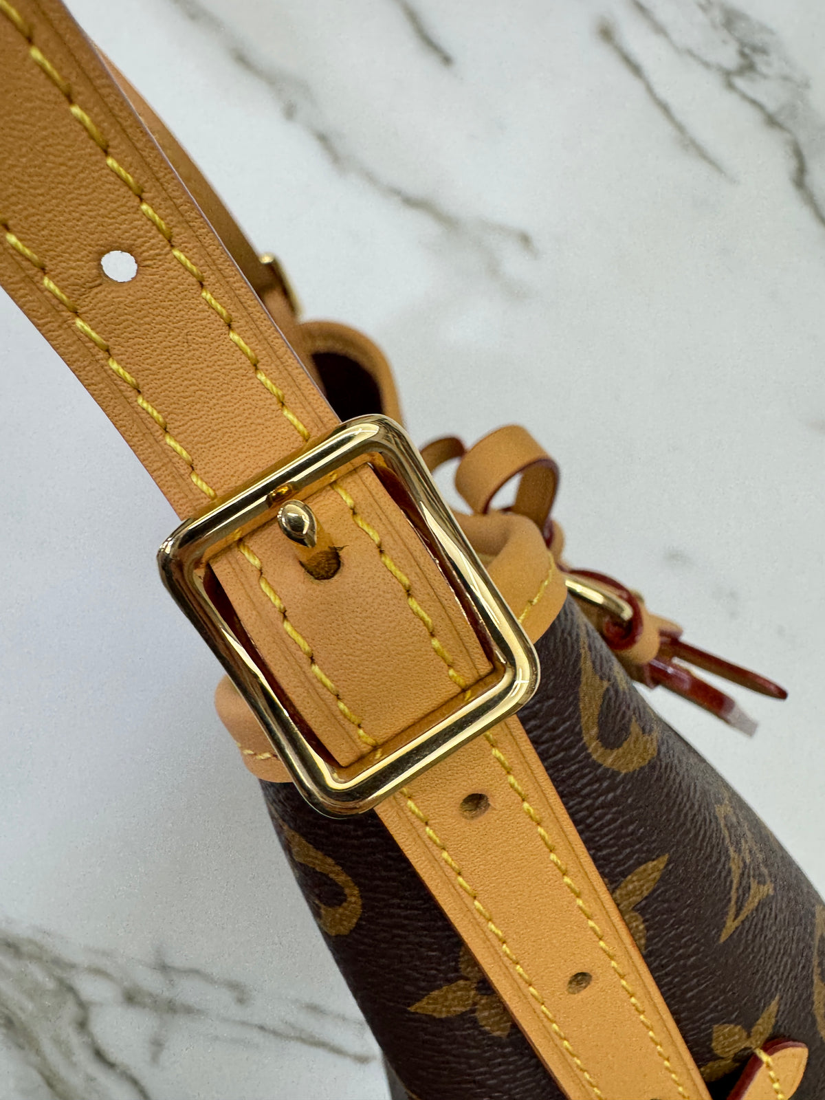 LV Nano Carryall