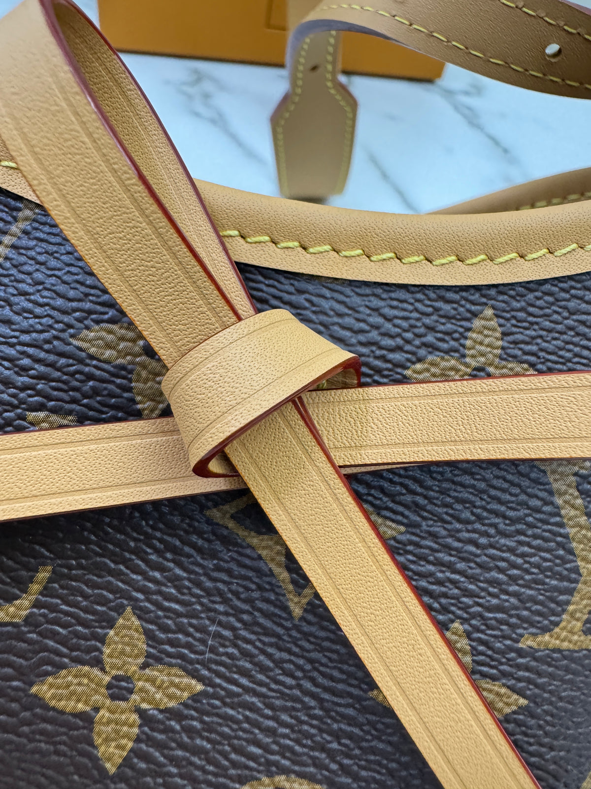 LV Nano Carryall