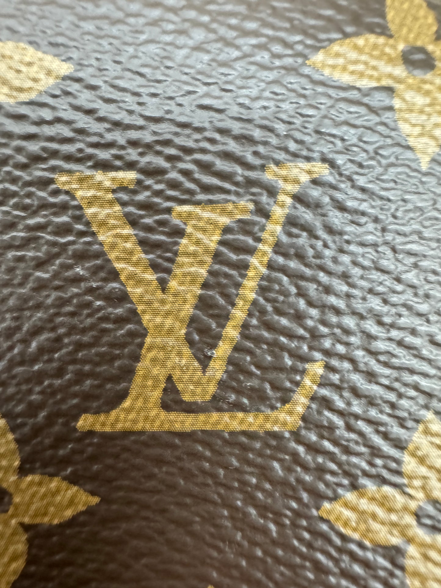 LV Palm Spring Backpack MM