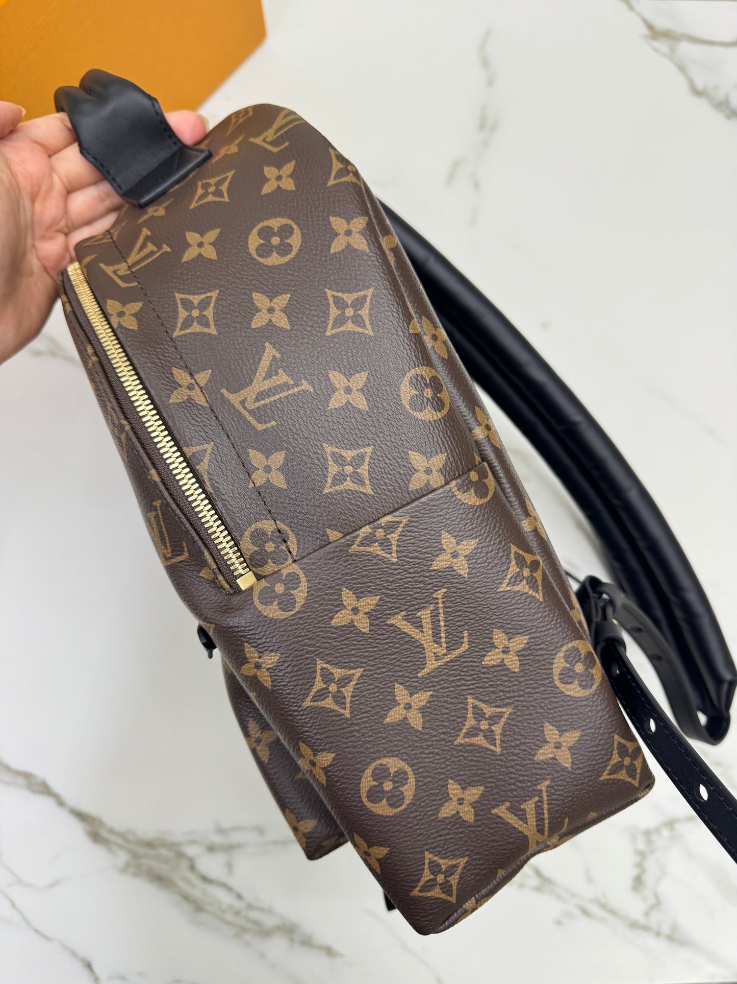LV Palm Spring Backpack MM