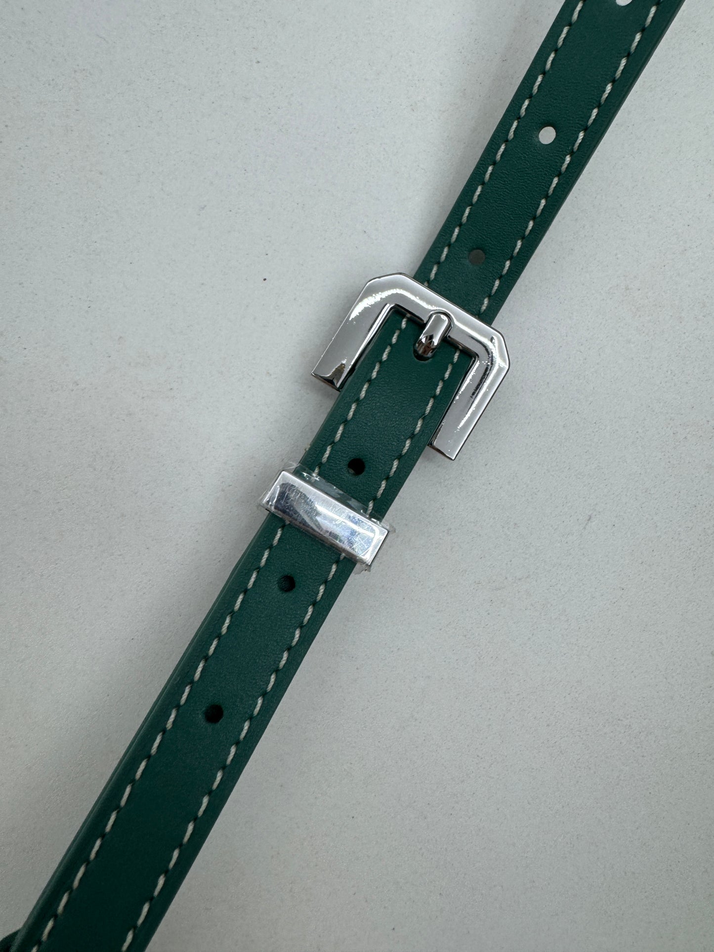 GOYARD Cap-vert 相機包 綠色