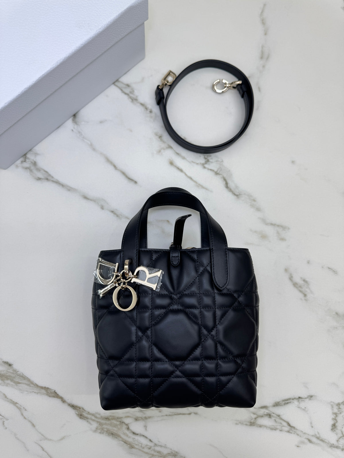 DIOR Toujours Vertical Small Black