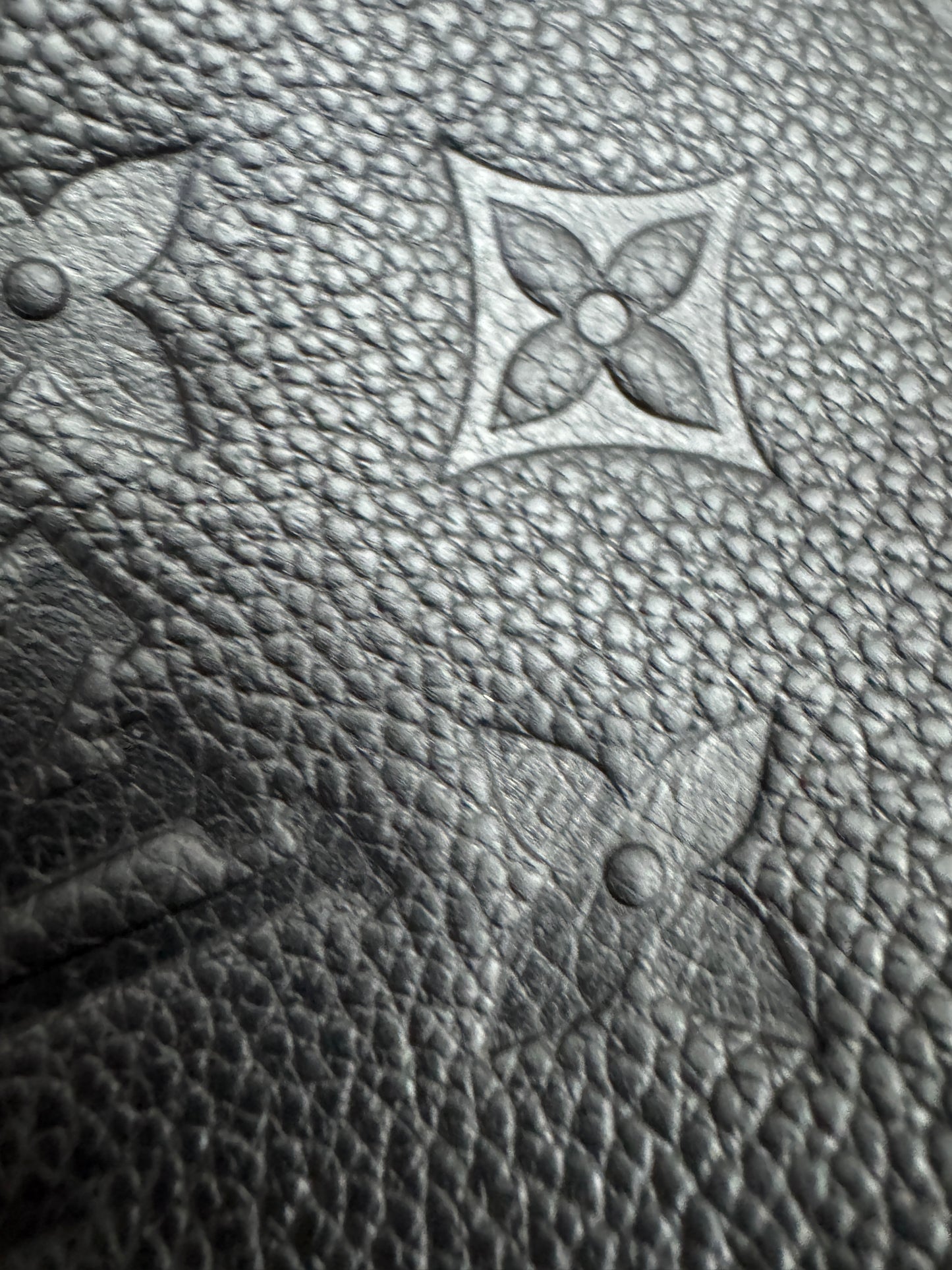 LV Onthego PM 黑色全皮