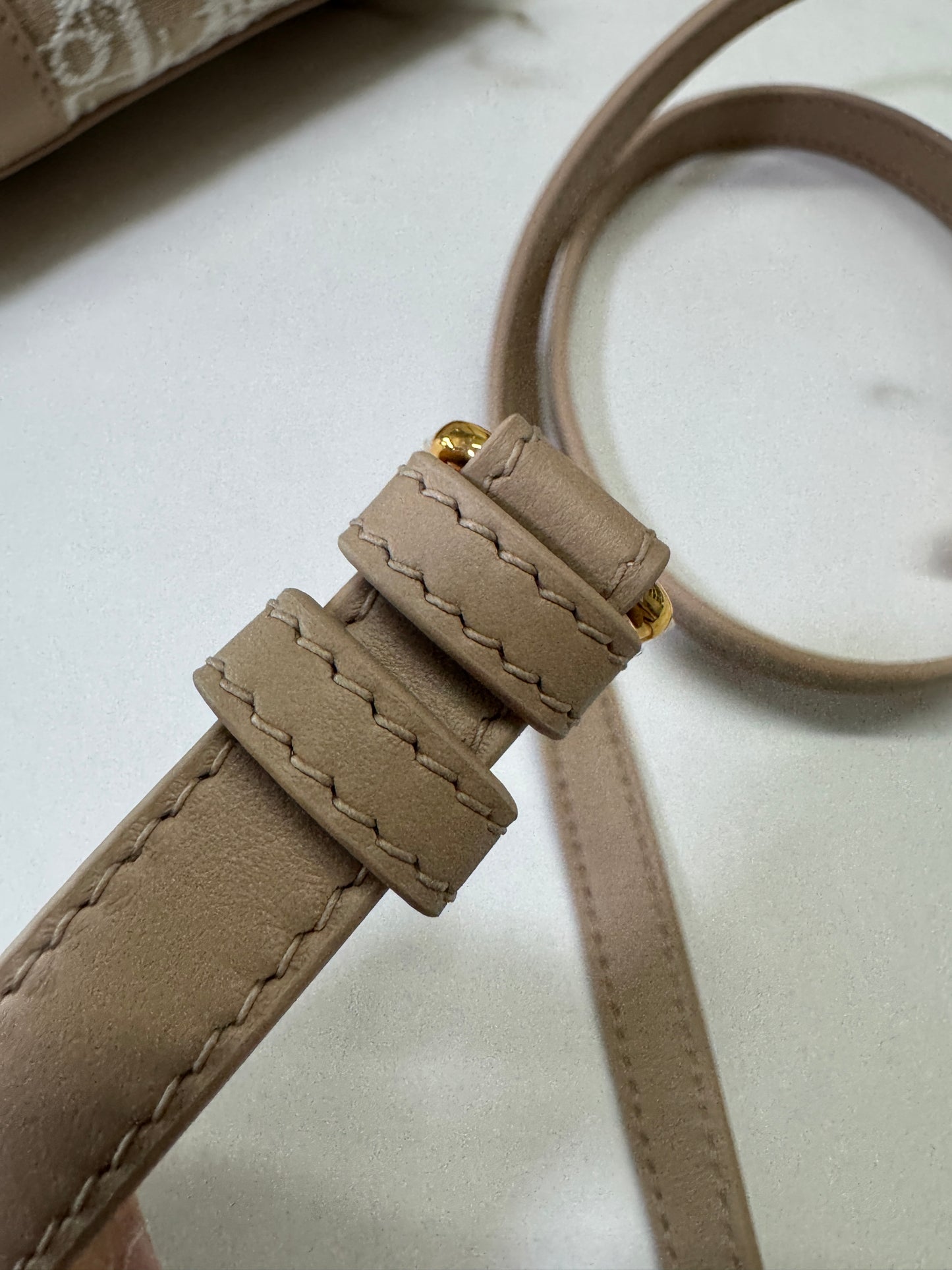 DIOR Groove Mini 奶茶色老花