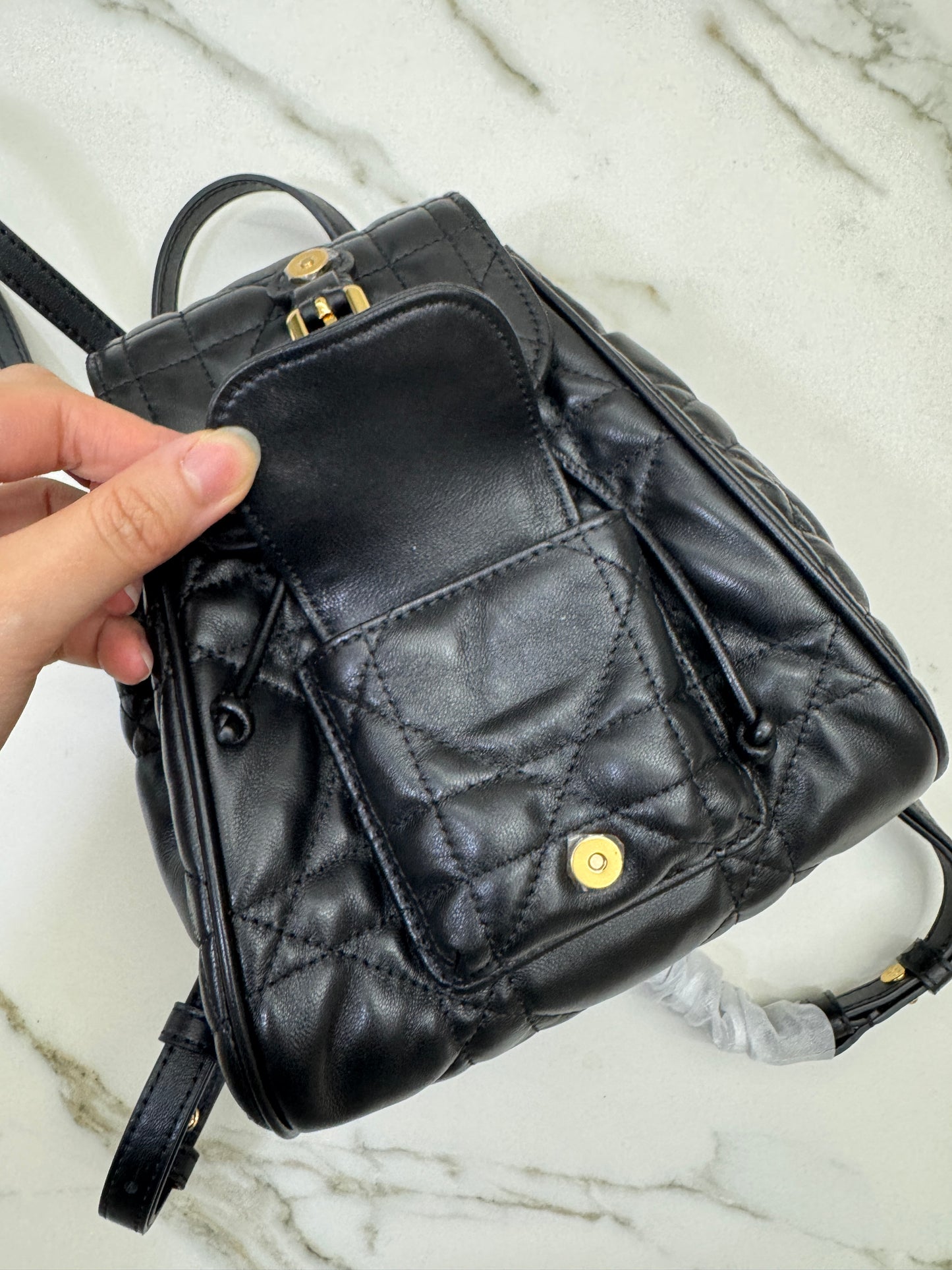 DIOR Caro Backpack Small