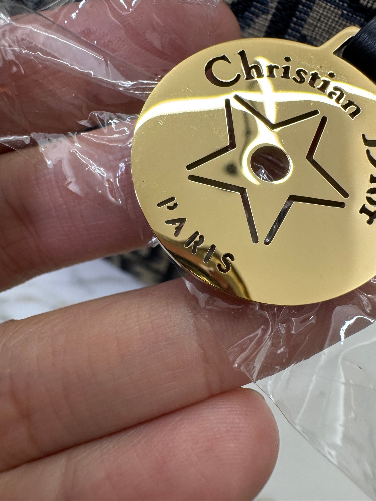 DIOR Diorstar Hobo 飯盒包