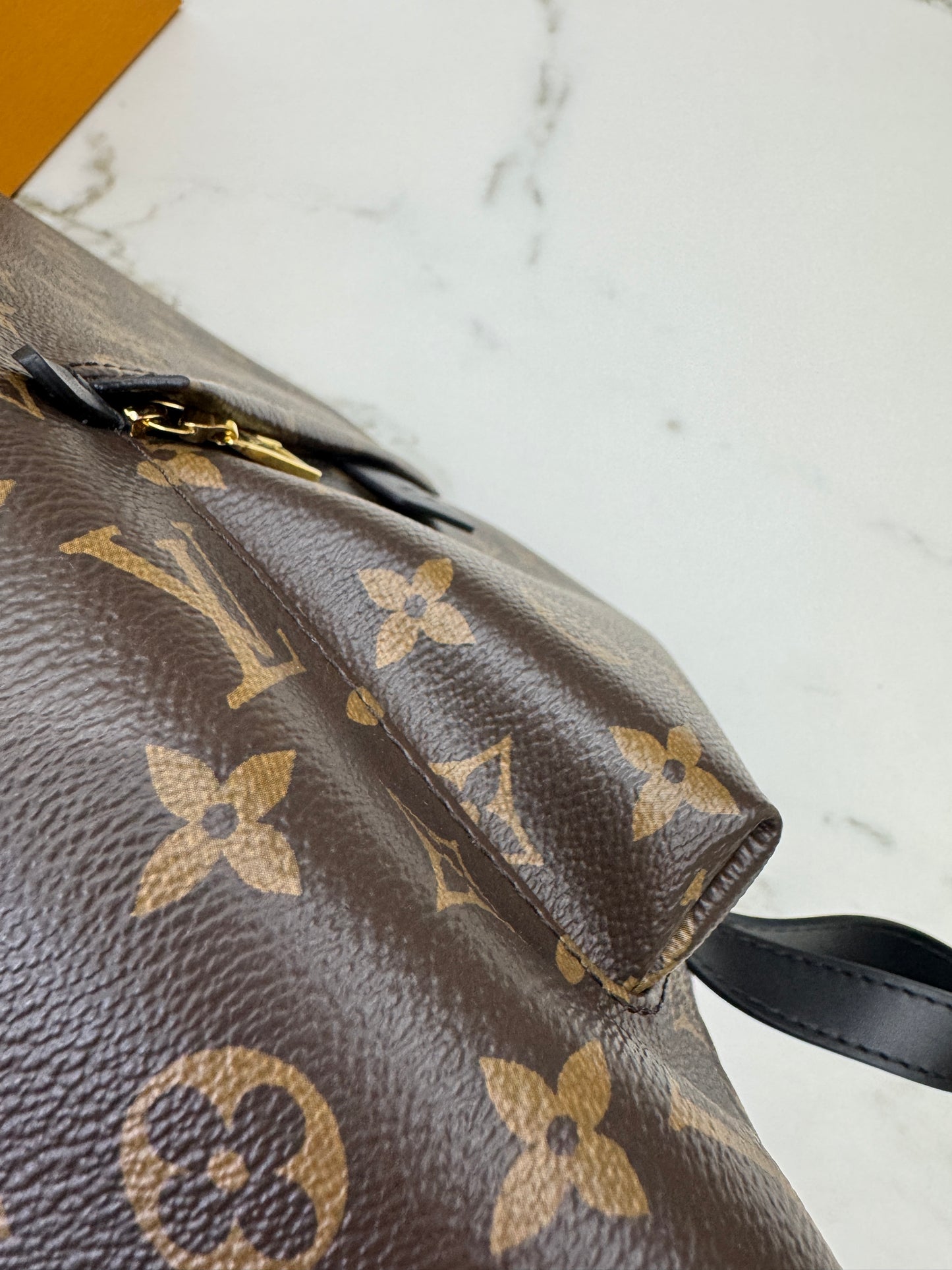 LV Palm Spring Backpack MM