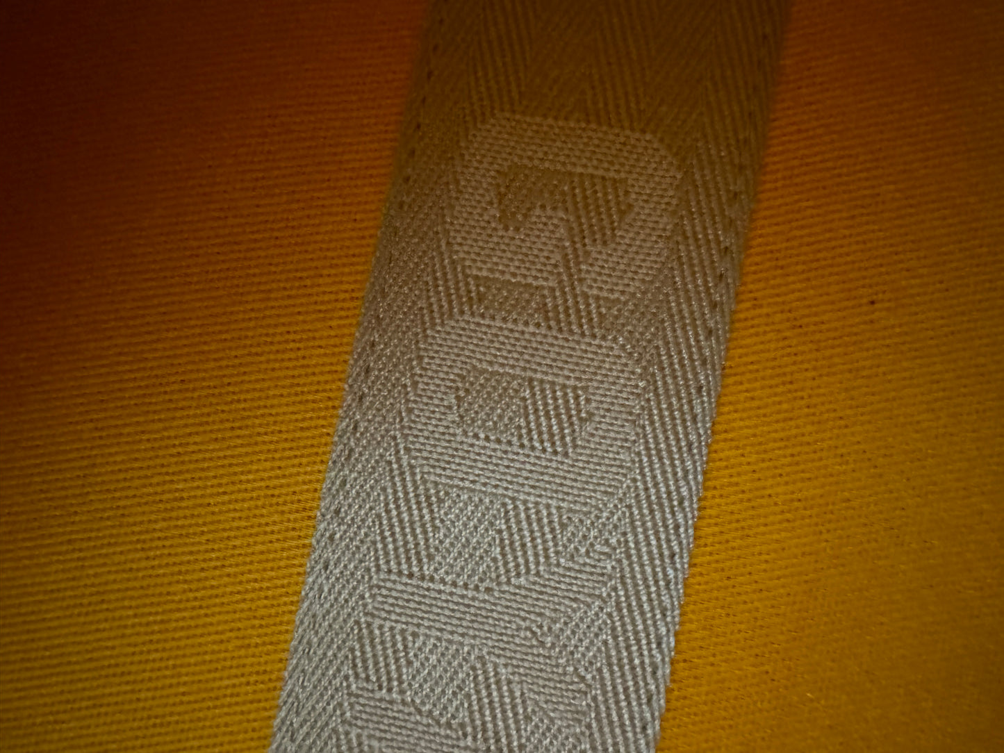 GOYARD Saint Leger 背包