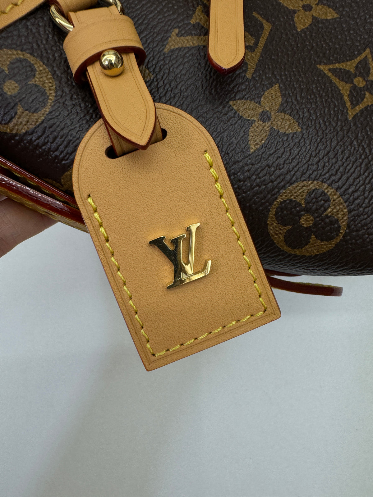 LV Nano Carryall