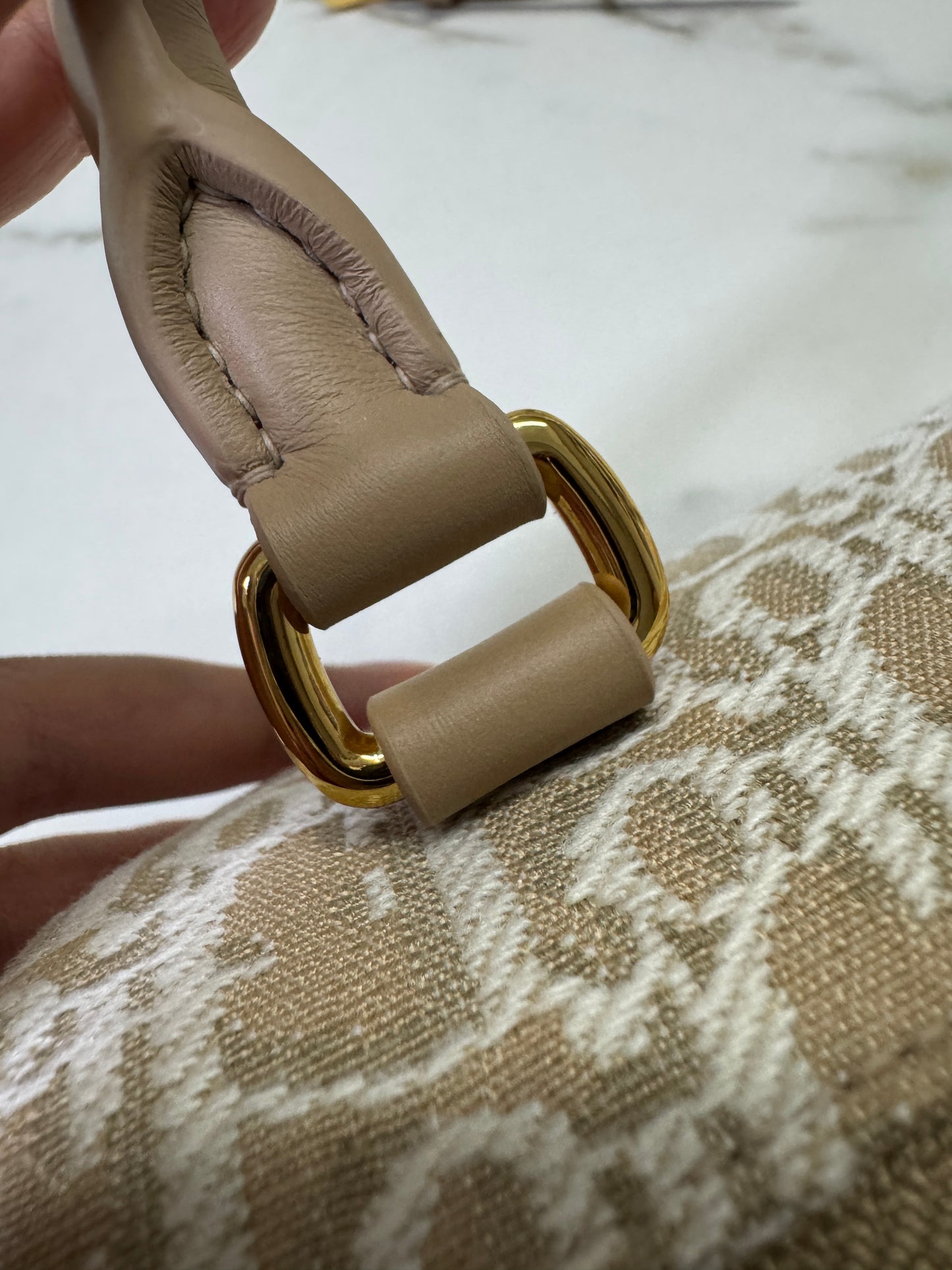 DIOR Groove Mini 奶茶色老花