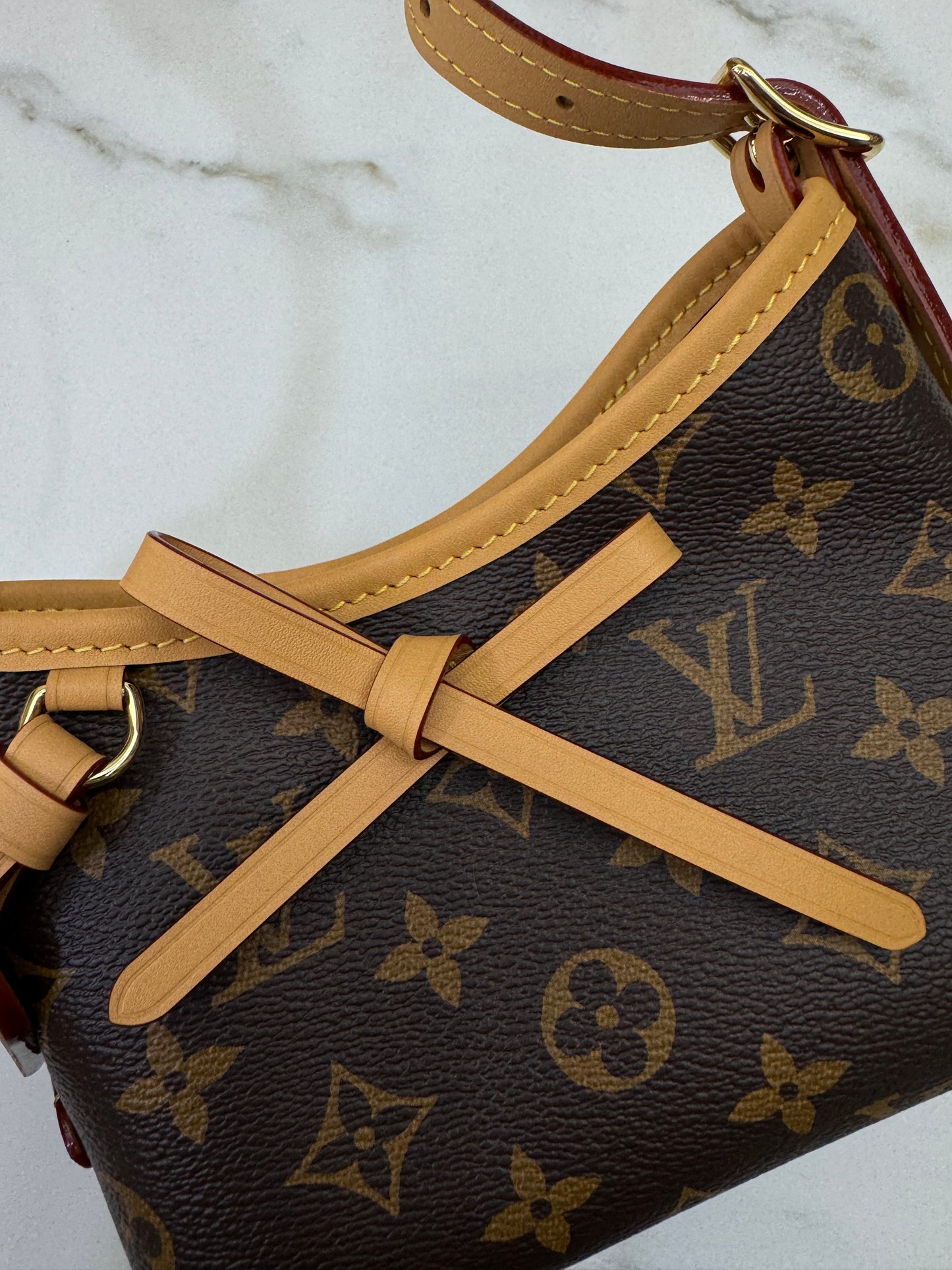 LV Nano Carryall