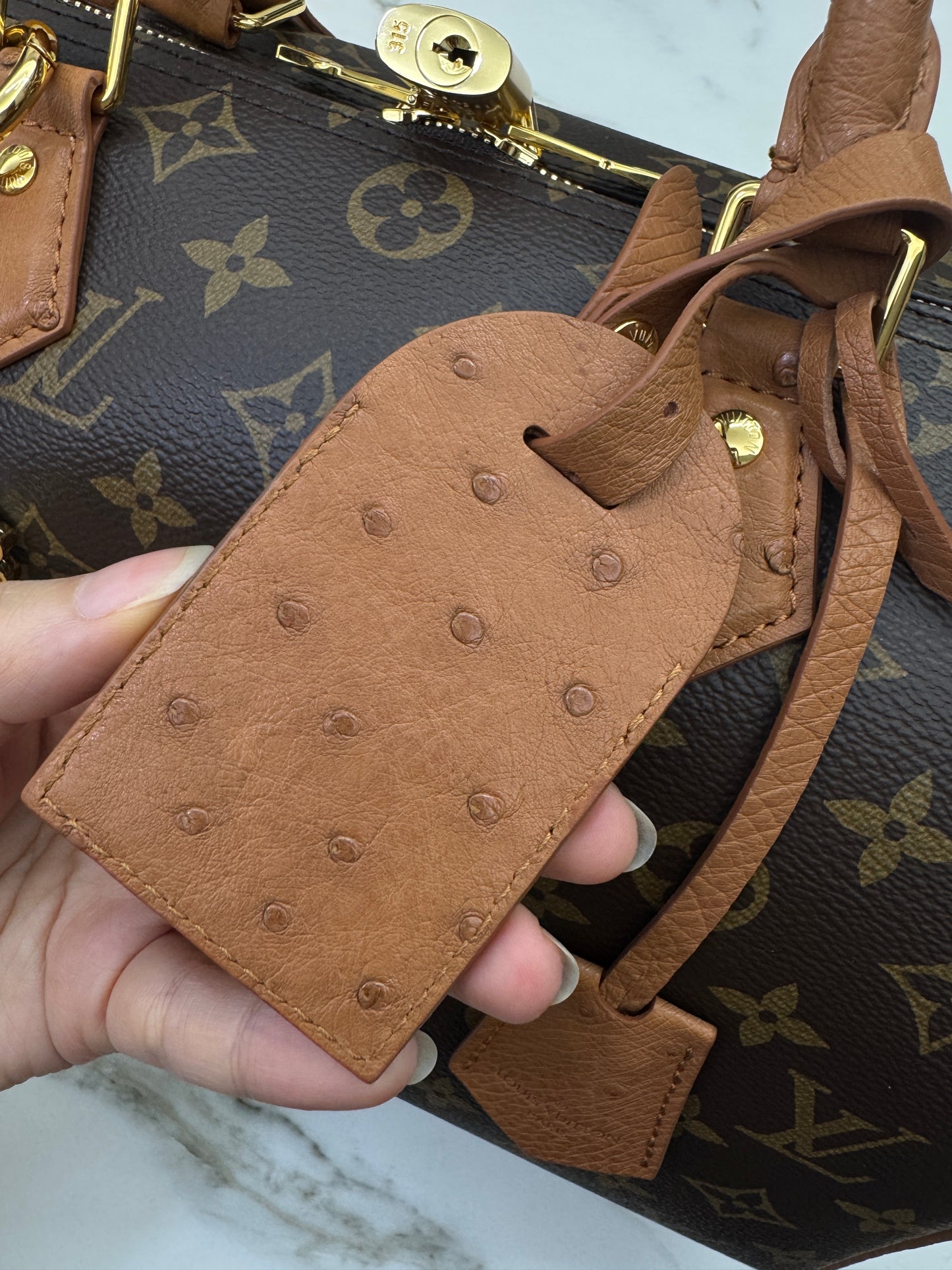 LVSpeedy Soft 30 Boho 駝鳥皮 N87212
