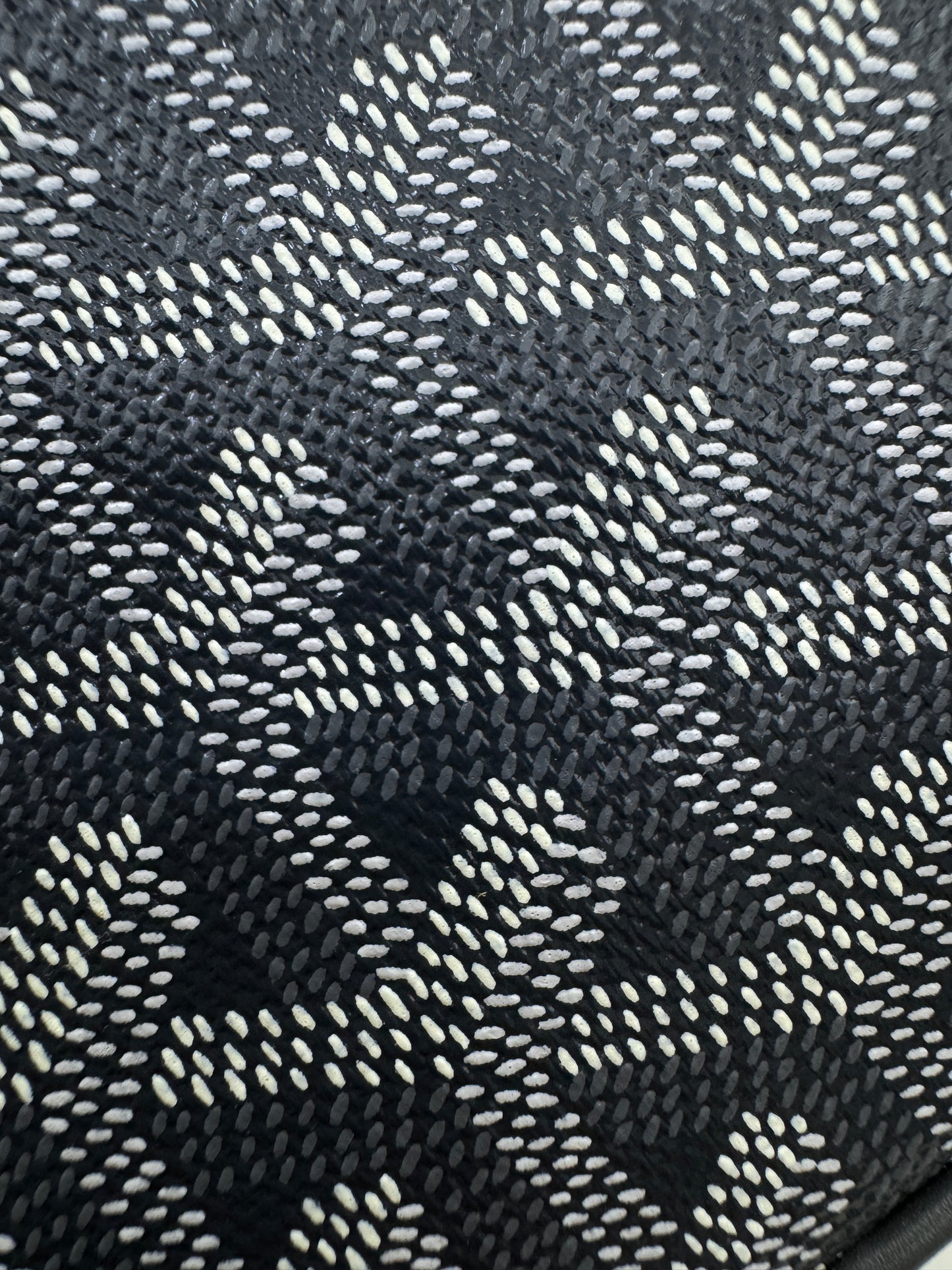 GOYARD Cap-vert 相機包灰色