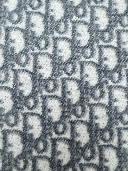 DIOR Oblique Scarf Grey 200x48cm