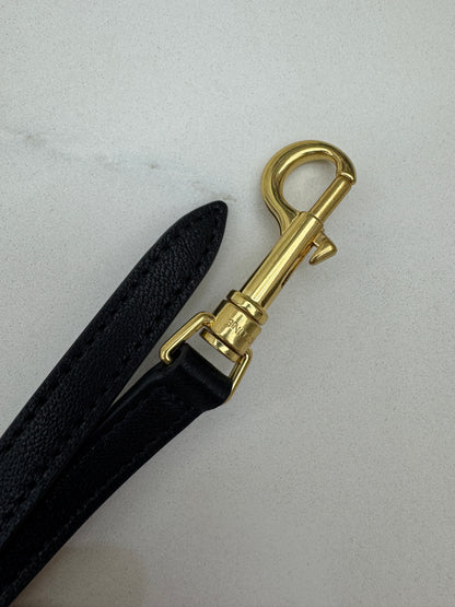 CELINE Soft Triomphe Besace