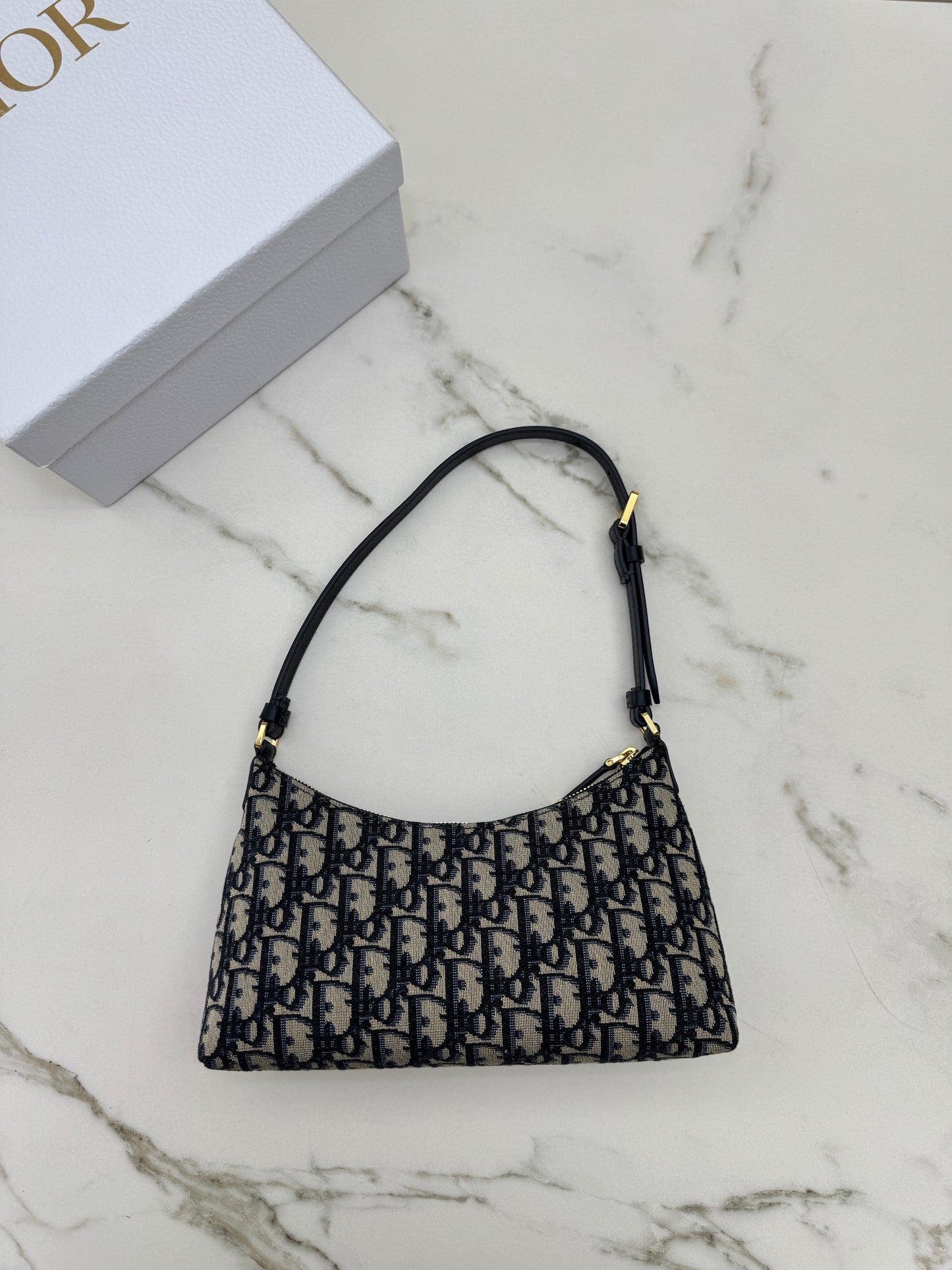 DIOR Miss Caro Hobo