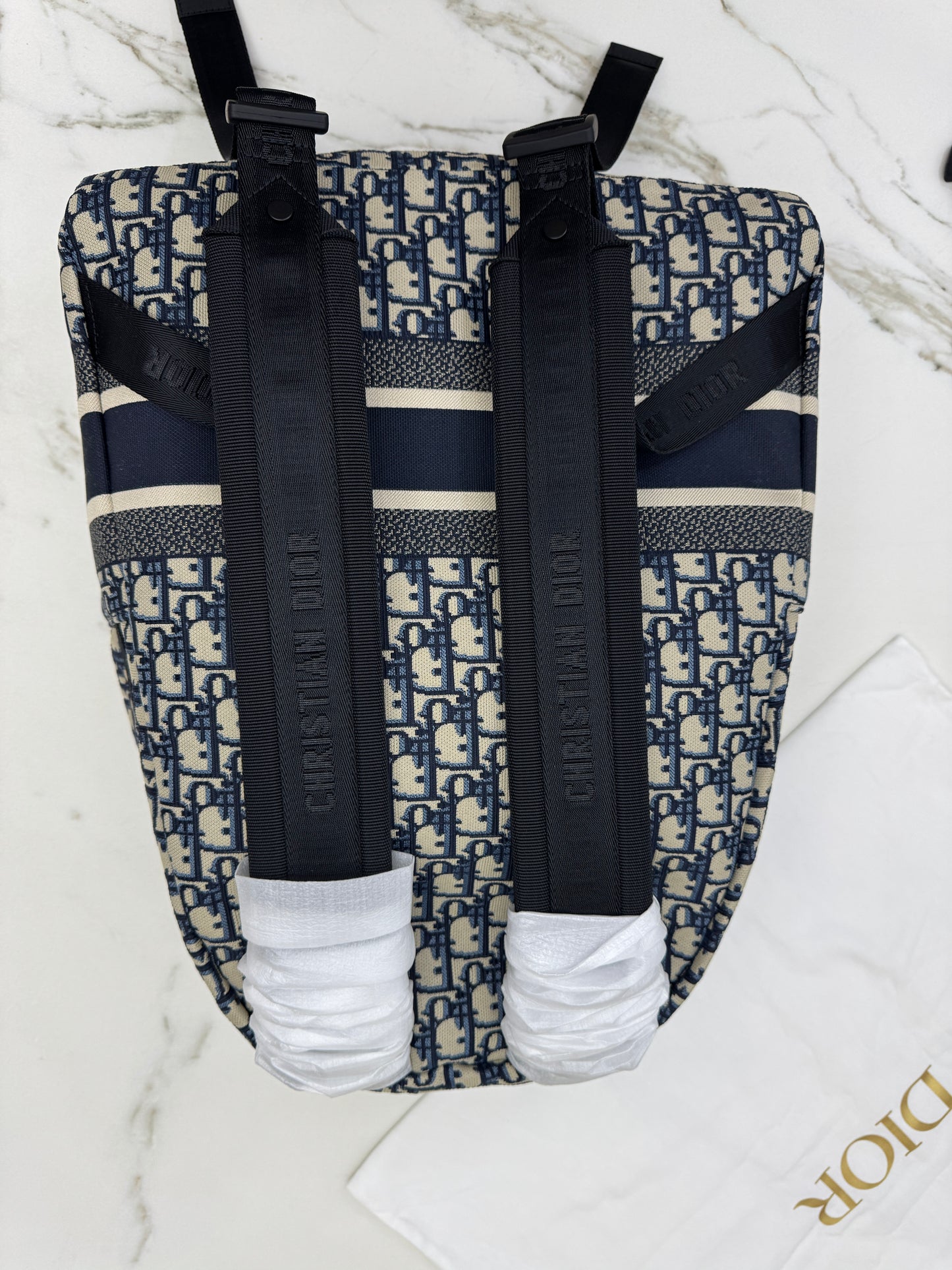 DIOR Diortravel Backpack