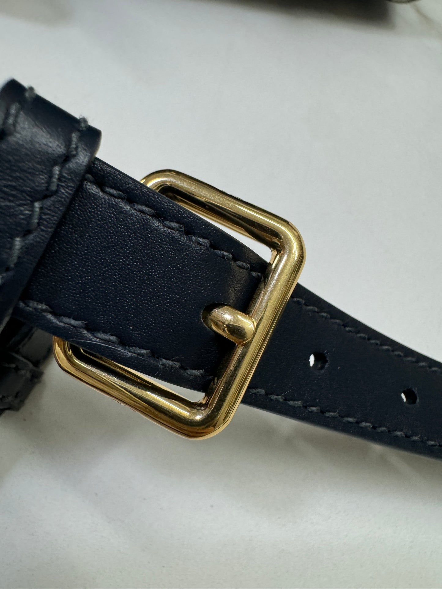 DIOR Groove 20cm 小號