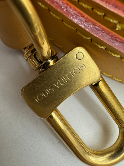 LV Nano Speedy 棋盤格牛仔