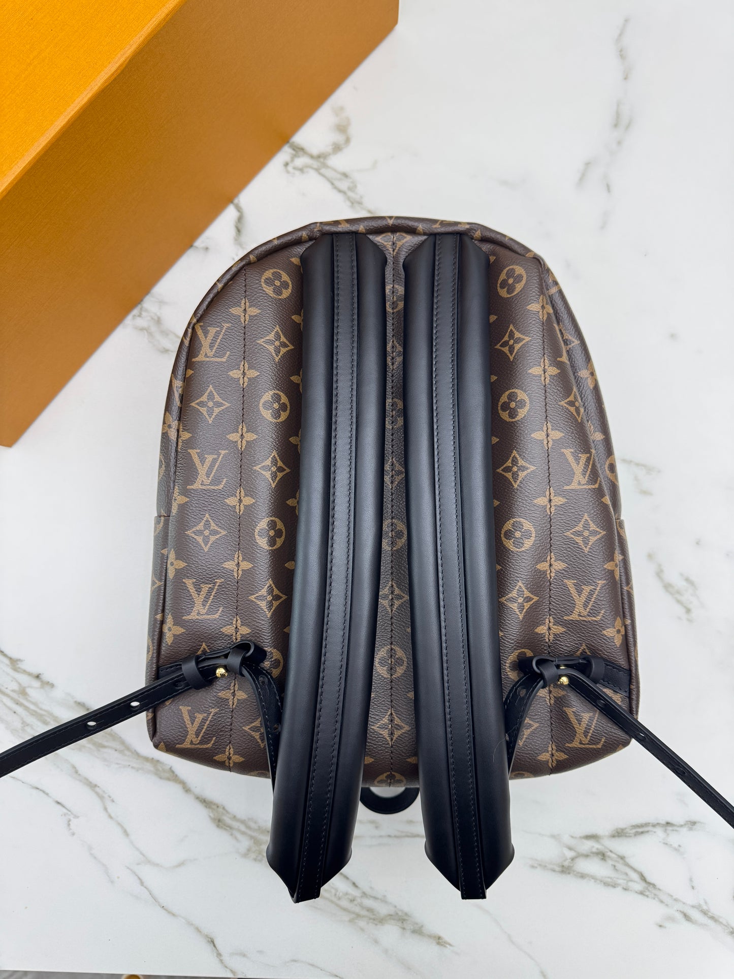 LV Palm Spring Backpack MM