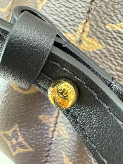 LV Palm Spring Backpack MM